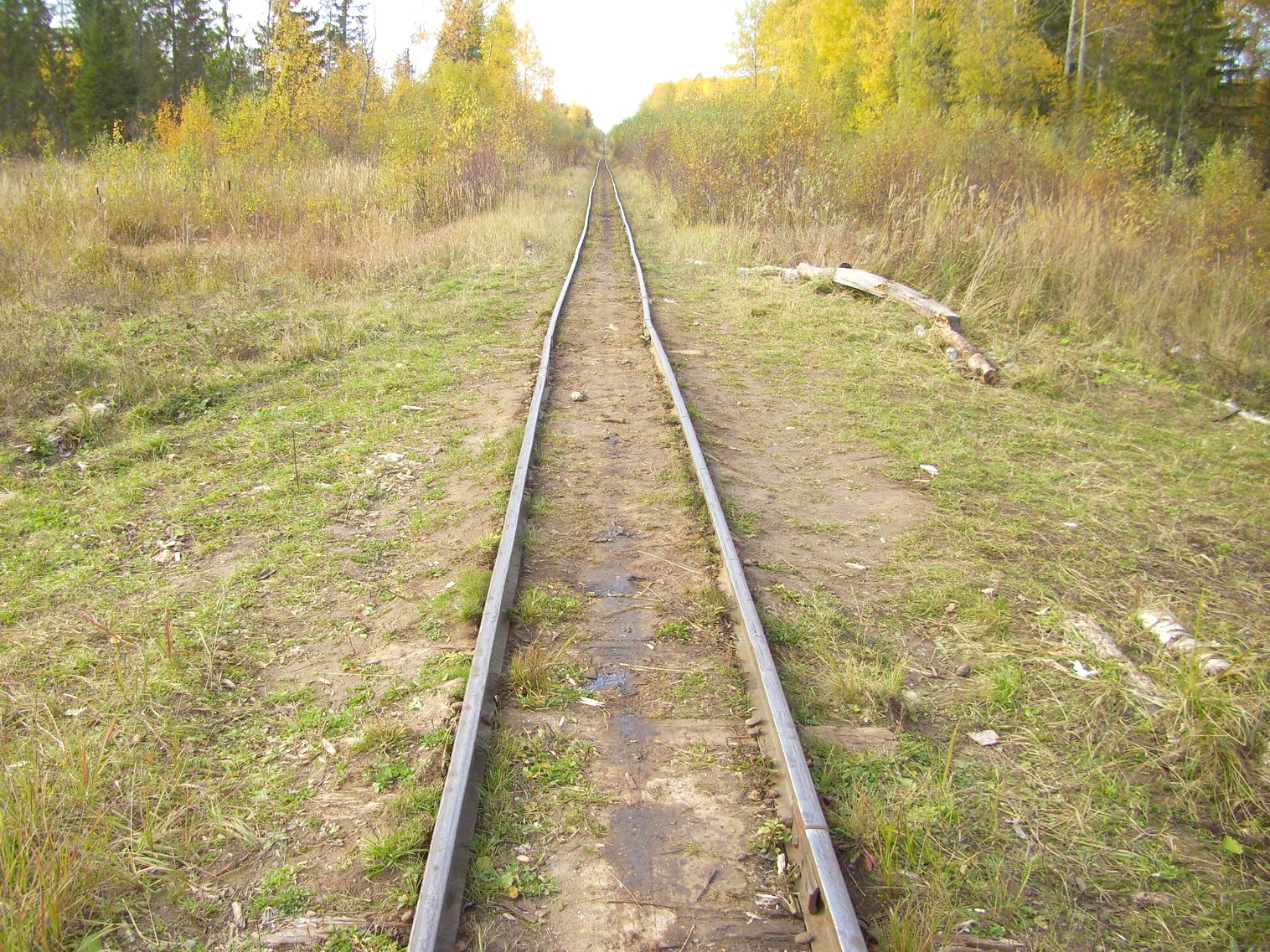 Семигородняя узкоколейная железная дорога
— фотографии, сделанные в 2010 году (часть 14) Семигородняя узкоколейная железная дорога
— фотографии, сделанные в 2010 году (часть 14)