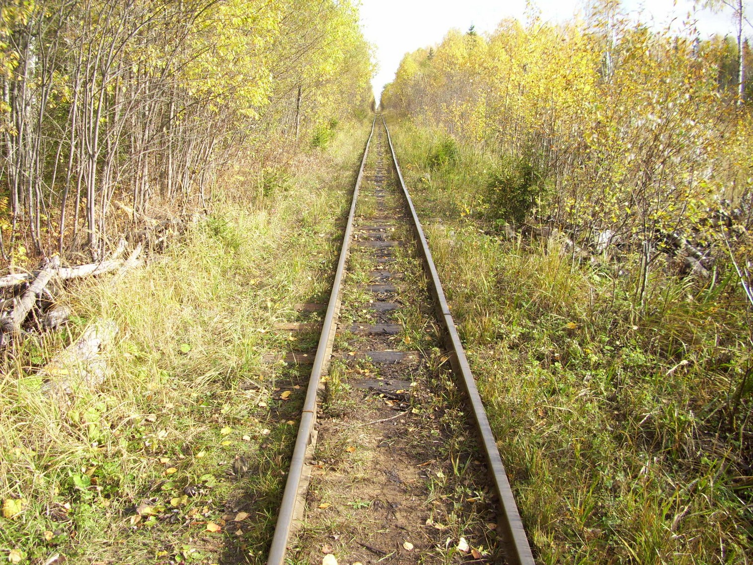 Семигородняя узкоколейная железная дорога
— фотографии, сделанные в 2010 году (часть 15) Семигородняя узкоколейная железная дорога
— фотографии, сделанные в 2010 году (часть 15)