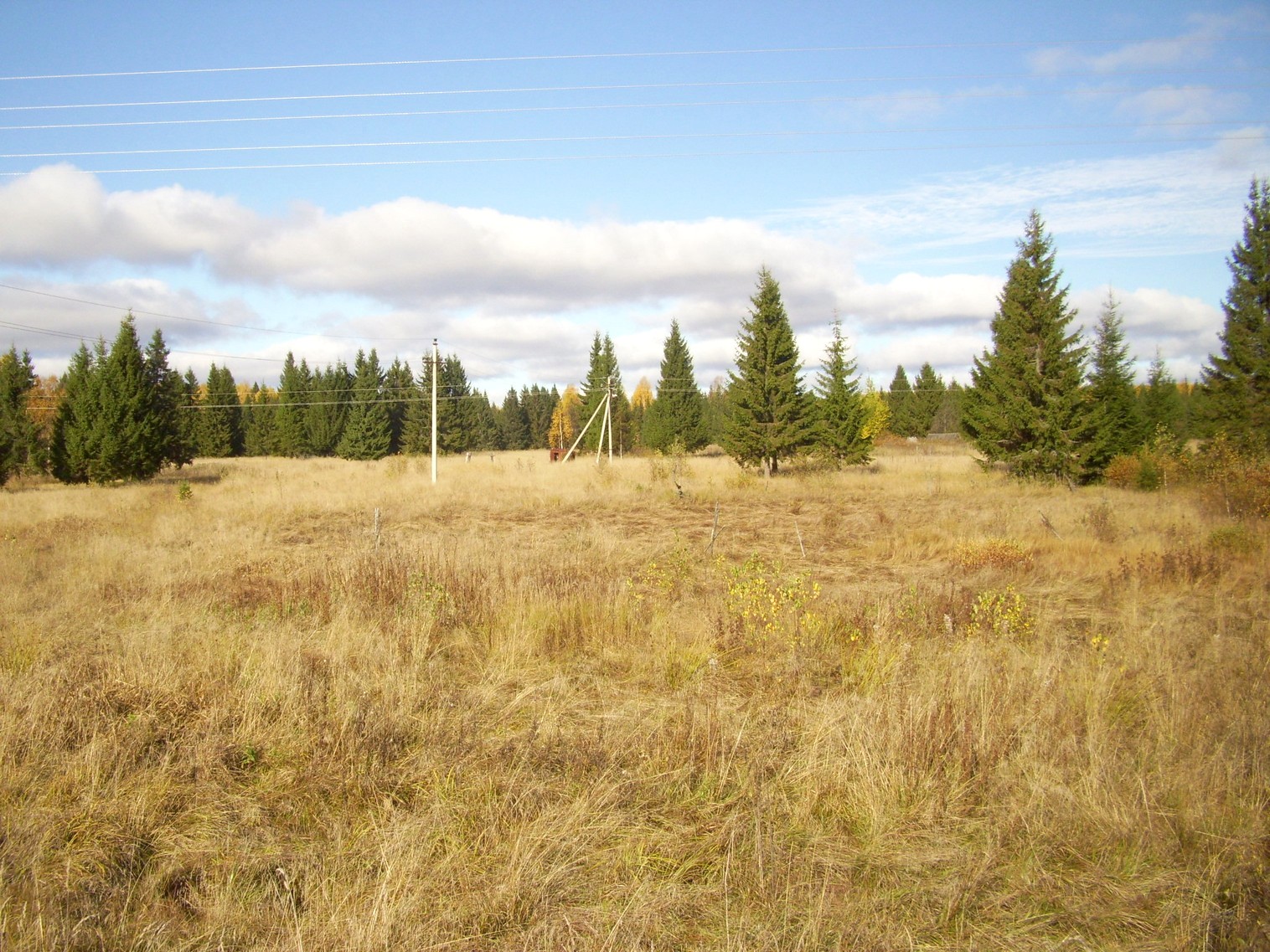 Семигородняя узкоколейная железная дорога
— фотографии, сделанные в 2010 году (часть 17) Семигородняя узкоколейная железная дорога
— фотографии, сделанные в 2010 году (часть 17)