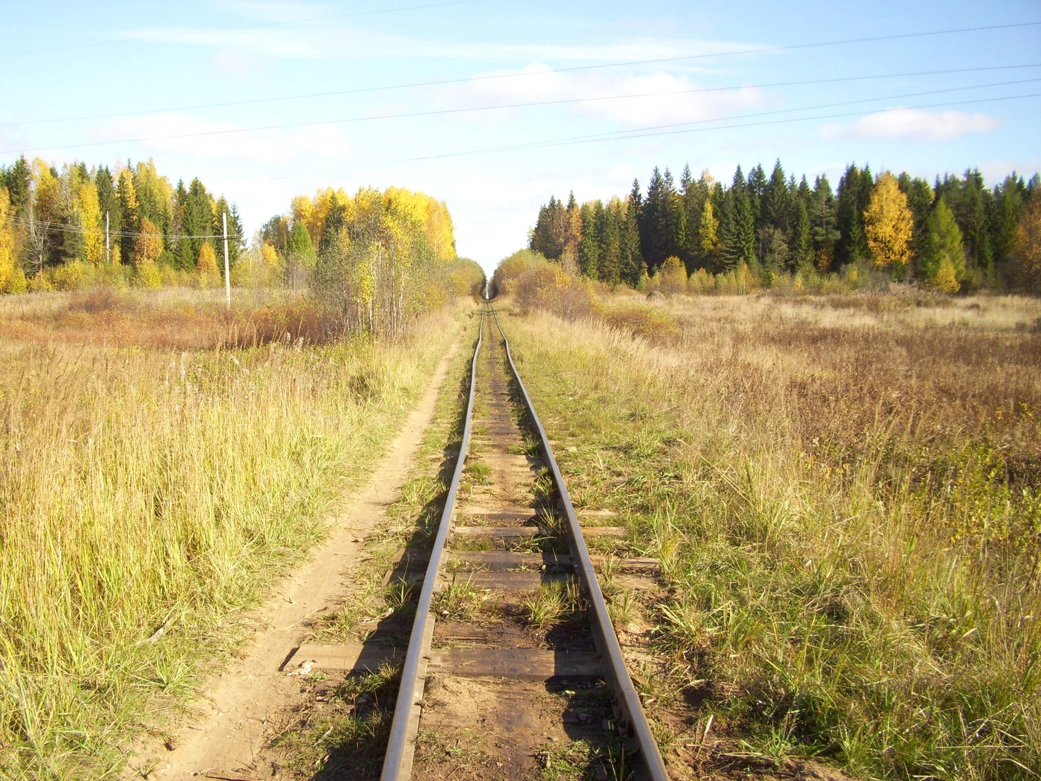 Семигородняя узкоколейная железная дорога
— фотографии, сделанные в 2010 году (часть 18) Семигородняя узкоколейная железная дорога
— фотографии, сделанные в 2010 году (часть 18)