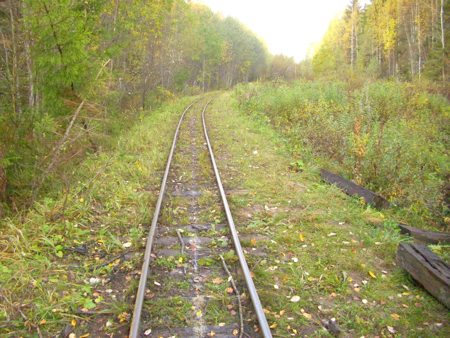 Семигородняя узкоколейная железная дорога
— фотографии, сделанные в 2010 году (часть 5) Семигородняя узкоколейная железная дорога
— фотографии, сделанные в 2010 году (часть 5)