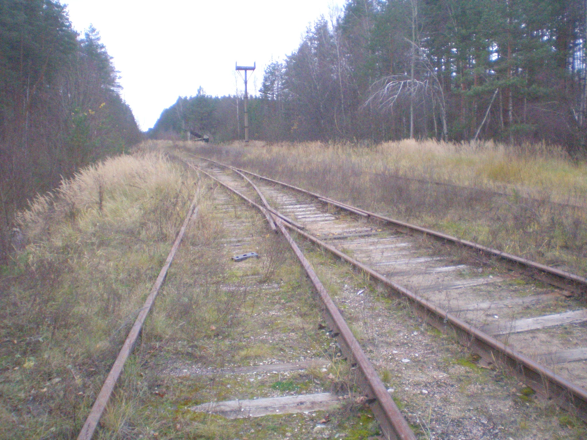 Железнодорожная линия Кривандино — Мишеронь — фотографии, сделанные в 2008 году (часть 19) Железнодорожная линия Кривандино — Мишеронь — фотографии, сделанные в 2008 году (часть 19)