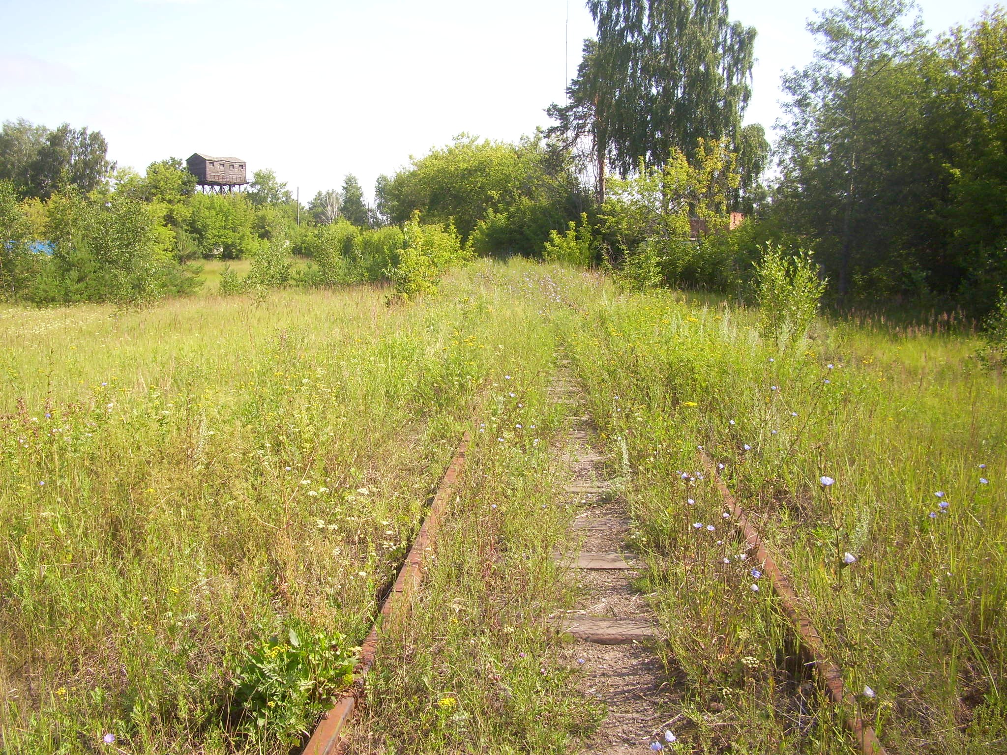Железнодорожная линия Кривандино — Мишеронь — фотографии, сделанные в 2011 году (часть 1) Железнодорожная линия Кривандино — Мишеронь — фотографии, сделанные в 2011 году (часть 1)