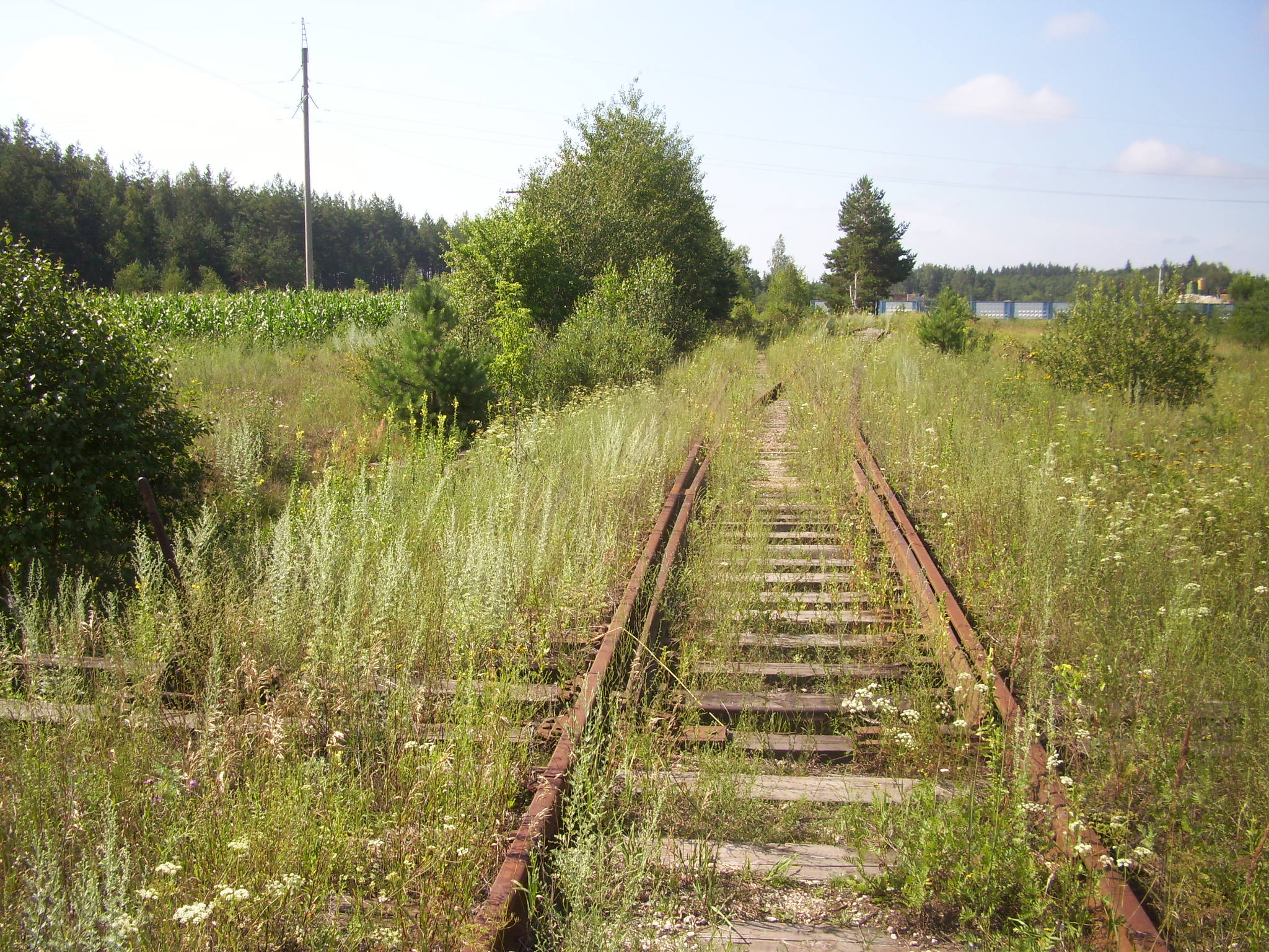 Железнодорожная линия Кривандино — Мишеронь — фотографии, сделанные в 2011 году (часть 2) Железнодорожная линия Кривандино — Мишеронь — фотографии, сделанные в 2011 году (часть 2)