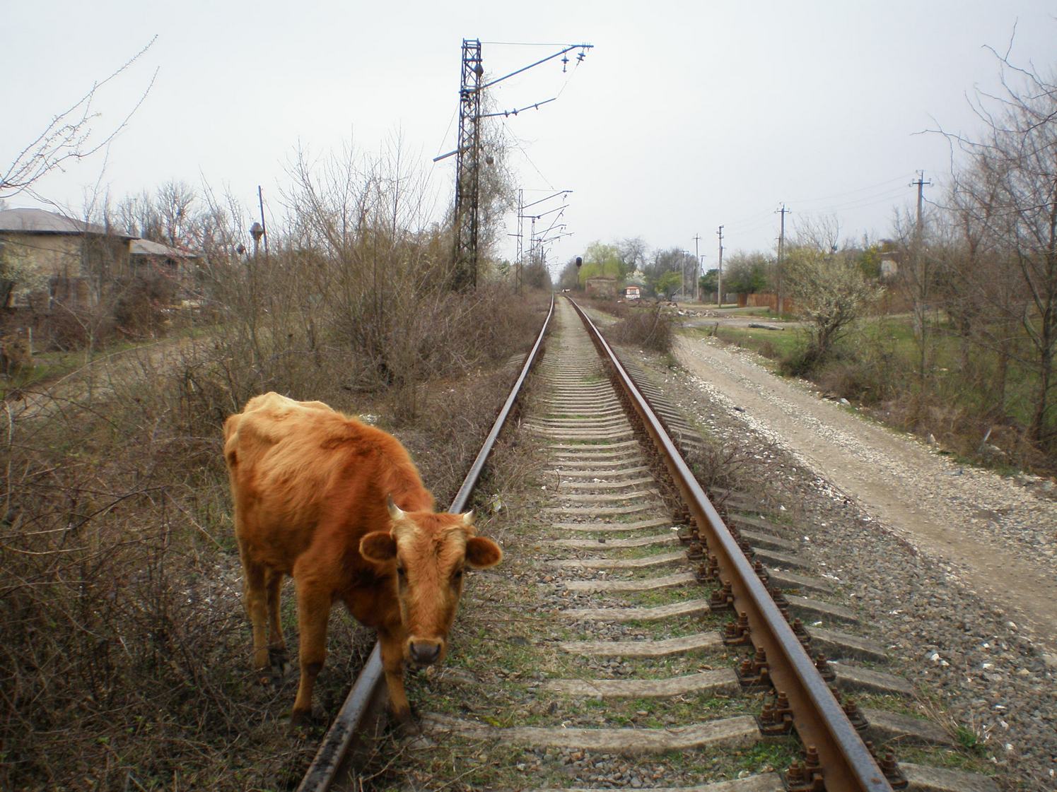 Абхазская железная дорога — фотографии, сделанные в 2008 году (часть 16) Абхазская железная дорога — фотографии, сделанные в 2008 году (часть 16)