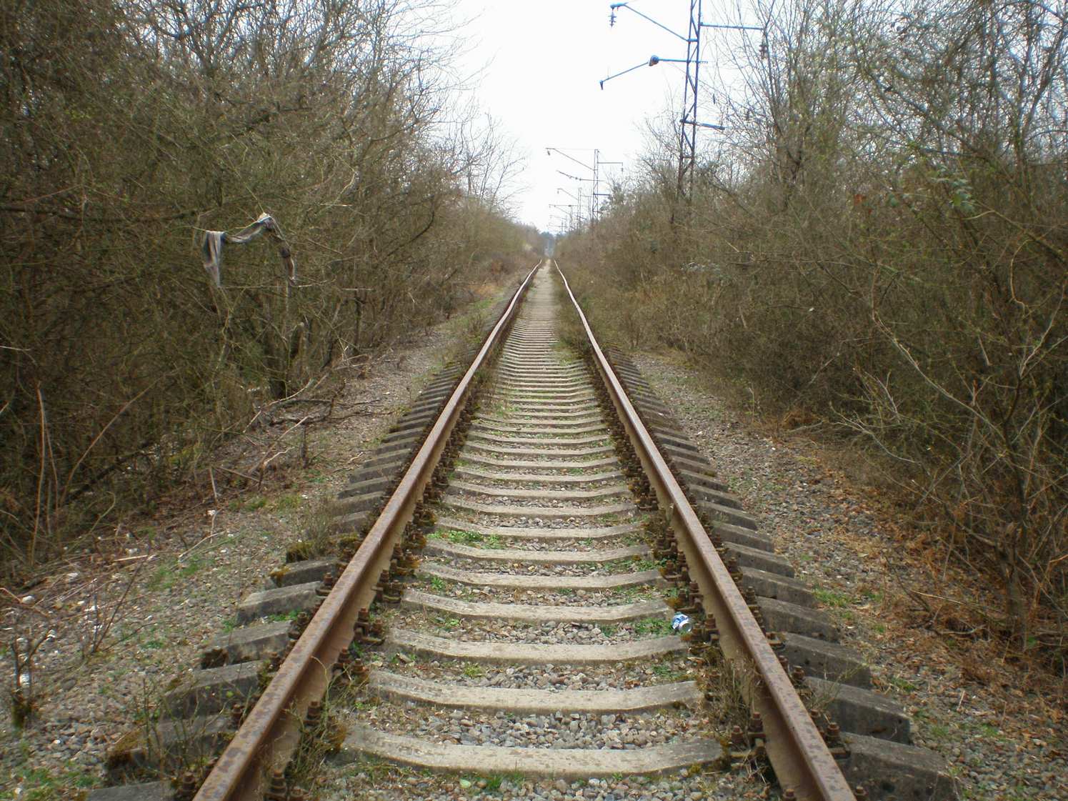 Абхазская железная дорога — фотографии, сделанные в 2008 году (часть 17) Абхазская железная дорога — фотографии, сделанные в 2008 году (часть 17)