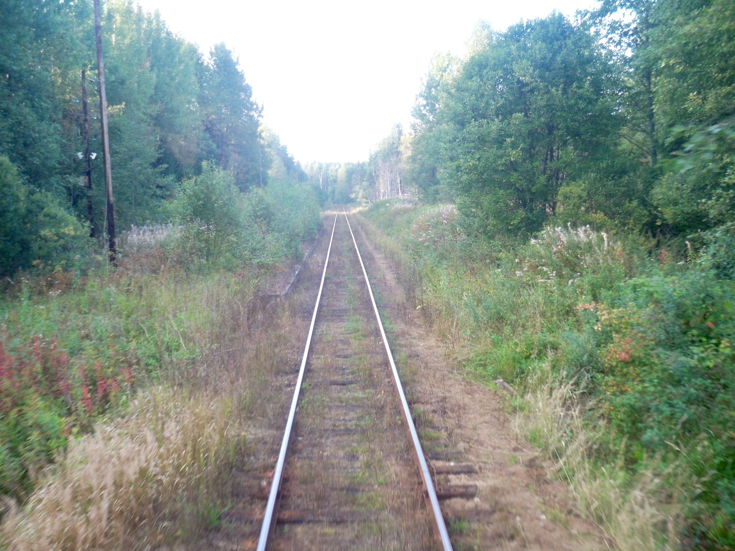 Железнодорожная линия Окуловка — Неболчи
— фотографии, сделанные в 2013 году (часть 9) Железнодорожная линия Окуловка — Неболчи
— фотографии, сделанные в 2013 году (часть 9)