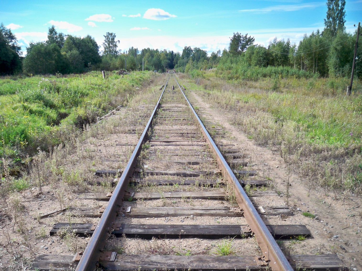Железнодорожная линия Окуловка — Неболчи
— фотографии, сделанные в 2013 году (часть 2) Железнодорожная линия Окуловка — Неболчи
— фотографии, сделанные в 2013 году (часть 2)