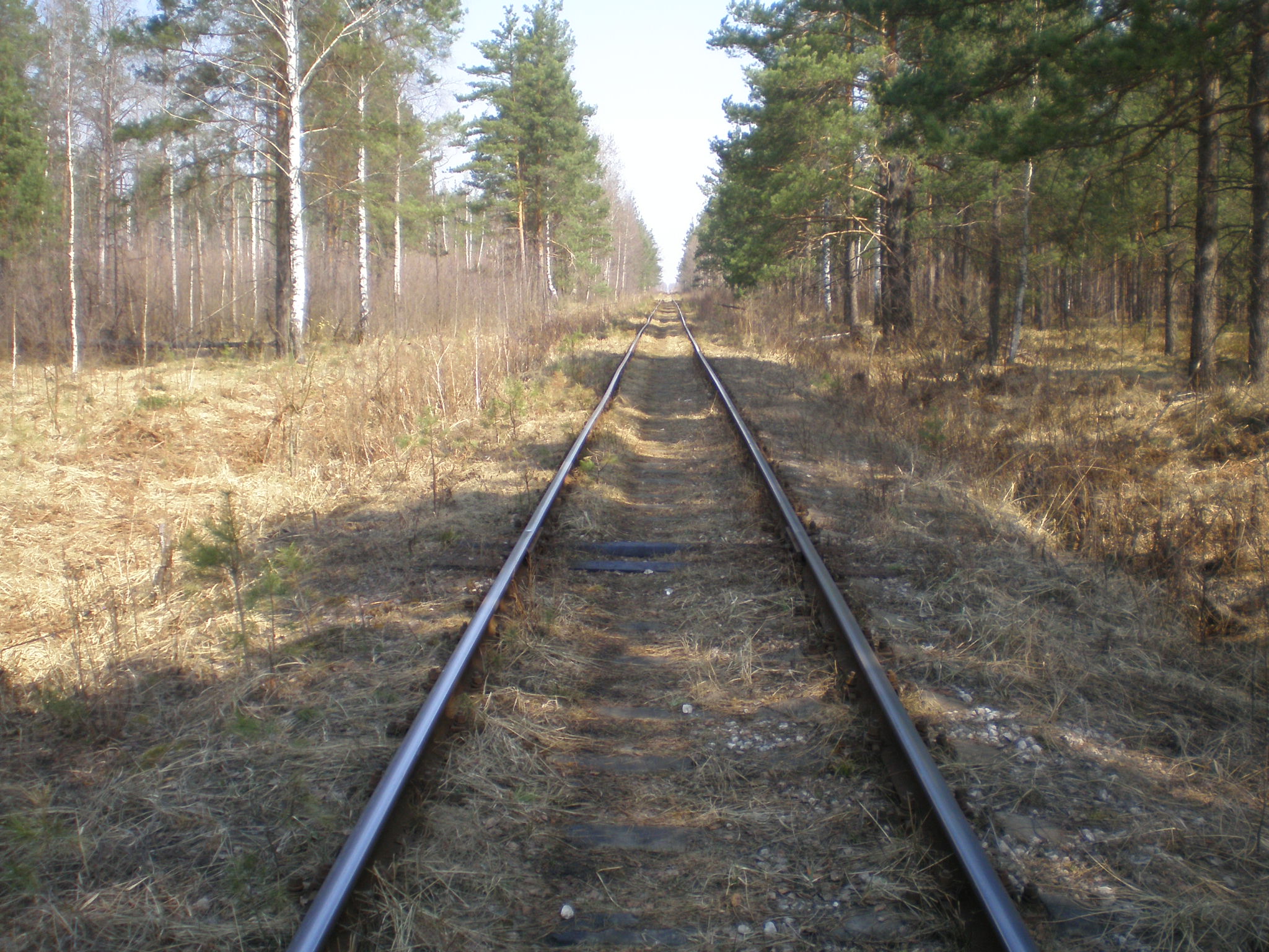 Железнодорожная линия Черусти — Уршель — фотографии, сделанные в 2009 году (часть 8) Железнодорожная линия Черусти — Уршель — фотографии, сделанные в 2009 году (часть 8)