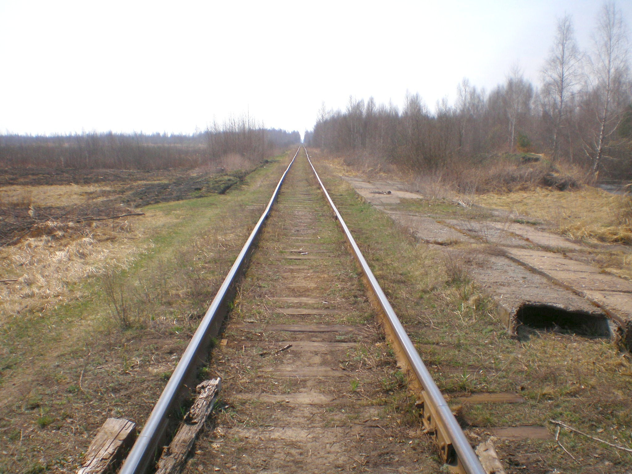 Железнодорожная линия Черусти — Уршель — фотографии, сделанные в 2009 году (часть 10) Железнодорожная линия Черусти — Уршель — фотографии, сделанные в 2009 году (часть 10)