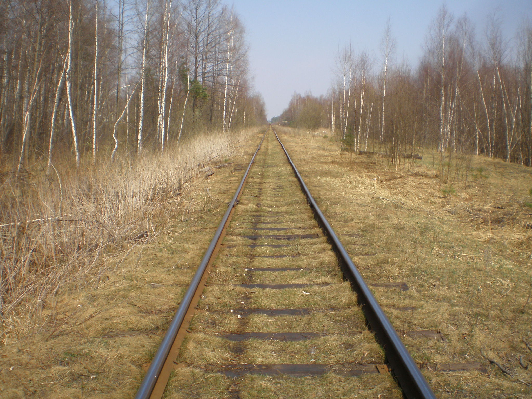 Железнодорожная линия Черусти — Уршель — фотографии, сделанные в 2009 году (часть 12) Железнодорожная линия Черусти — Уршель — фотографии, сделанные в 2009 году (часть 12)