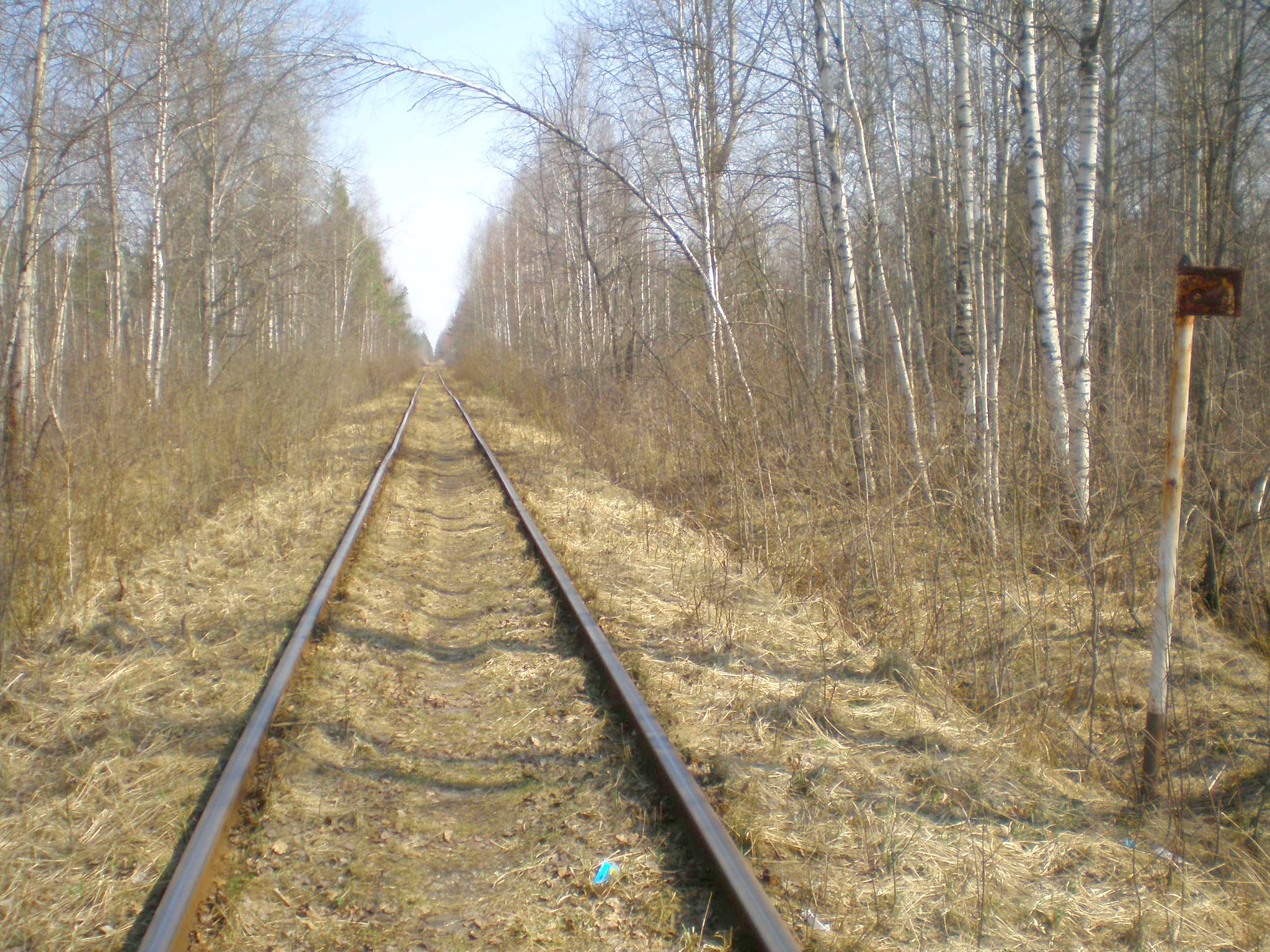 Железнодорожная линия Черусти — Уршель — фотографии, сделанные в 2009 году (часть 5) Железнодорожная линия Черусти — Уршель — фотографии, сделанные в 2009 году (часть 5)