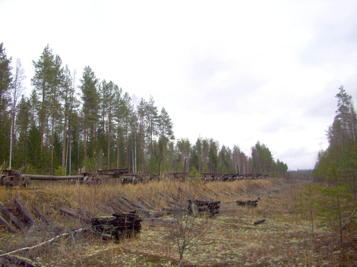 Дубровская узкоколейная железная дорога — фотографии, сделанные в 2009 году (часть 6) Дубровская узкоколейная железная дорога — фотографии, сделанные в 2009 году (часть 6)
