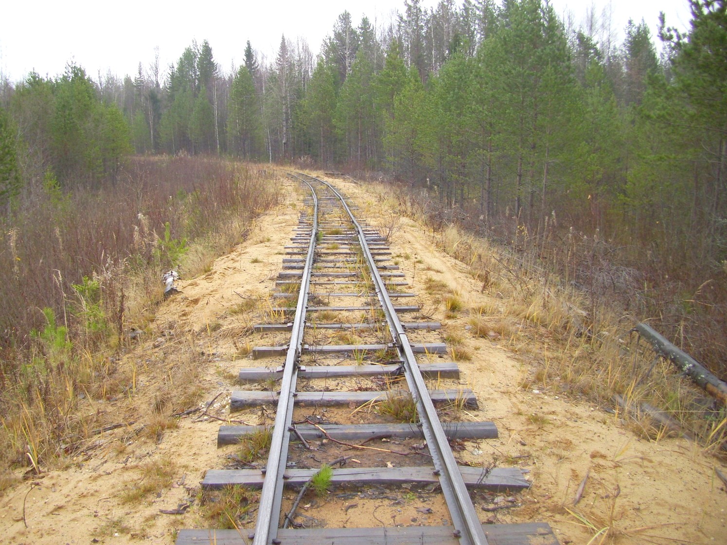 Дубровская узкоколейная железная дорога — фотографии, сделанные в 2009 году (часть 7) Дубровская узкоколейная железная дорога — фотографии, сделанные в 2009 году (часть 7)