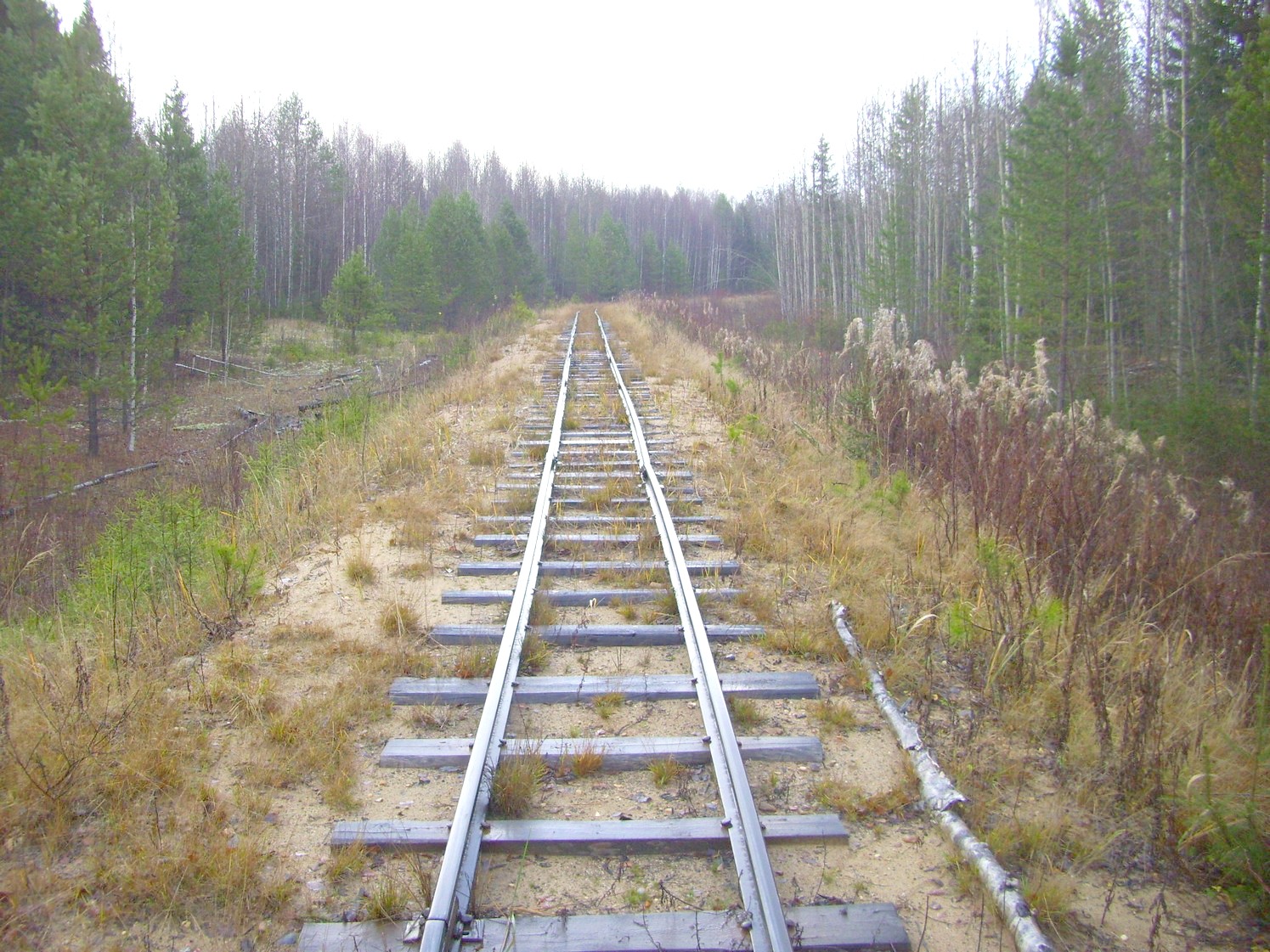 Дубровская узкоколейная железная дорога — фотографии, сделанные в 2009 году (часть 8) Дубровская узкоколейная железная дорога — фотографии, сделанные в 2009 году (часть 8)