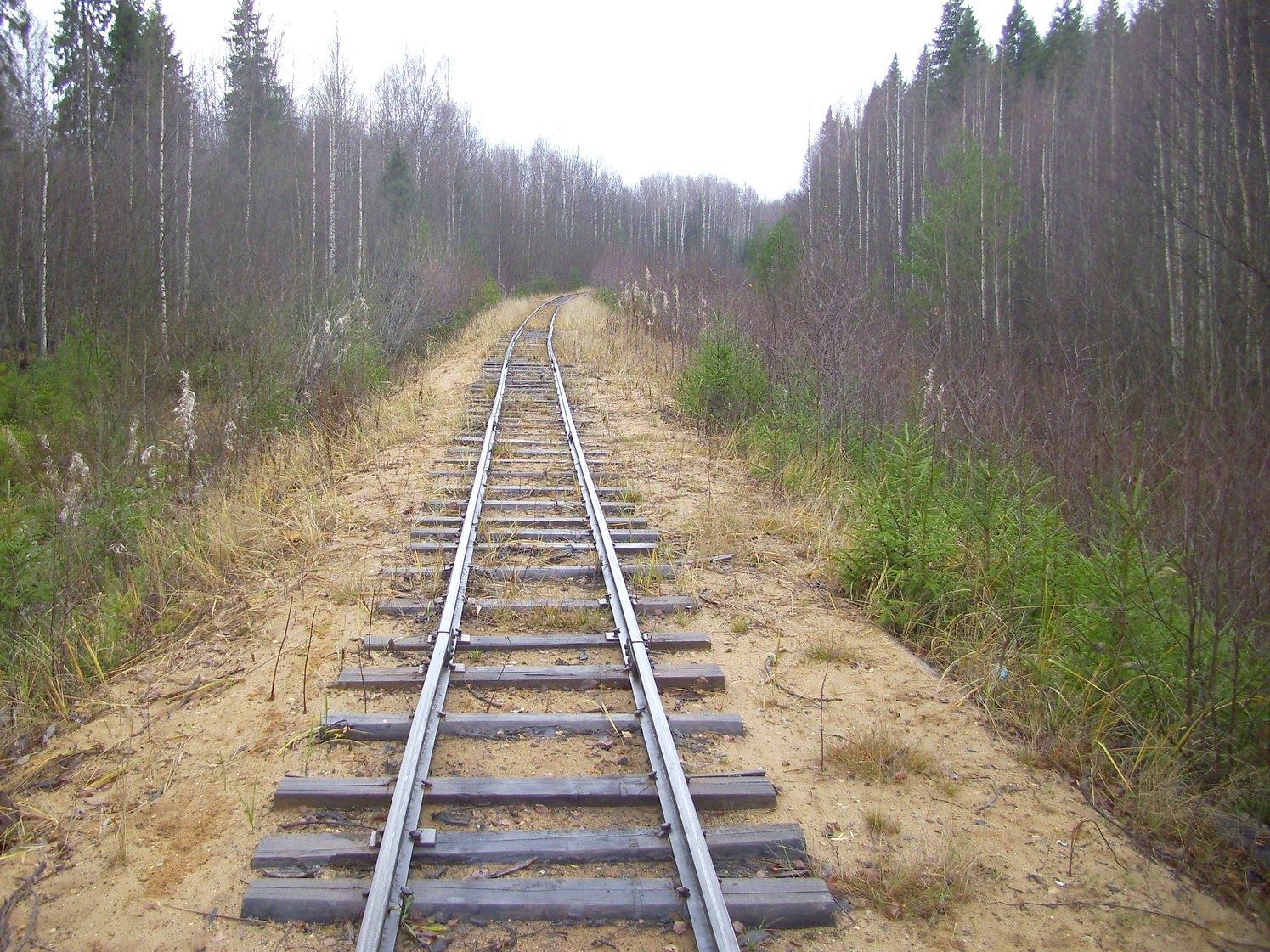 Дубровская узкоколейная железная дорога — фотографии, сделанные в 2009 году (часть 9) Дубровская узкоколейная железная дорога — фотографии, сделанные в 2009 году (часть 9)