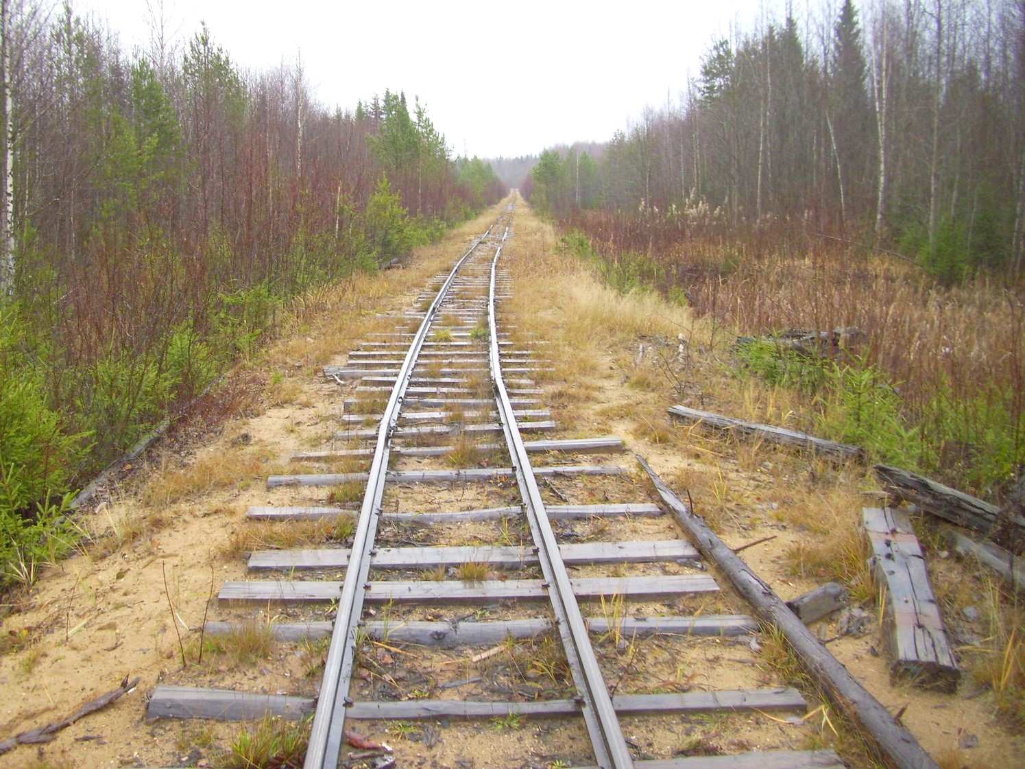 Дубровская узкоколейная железная дорога — фотографии, сделанные в 2009 году (часть 10) Дубровская узкоколейная железная дорога — фотографии, сделанные в 2009 году (часть 10)