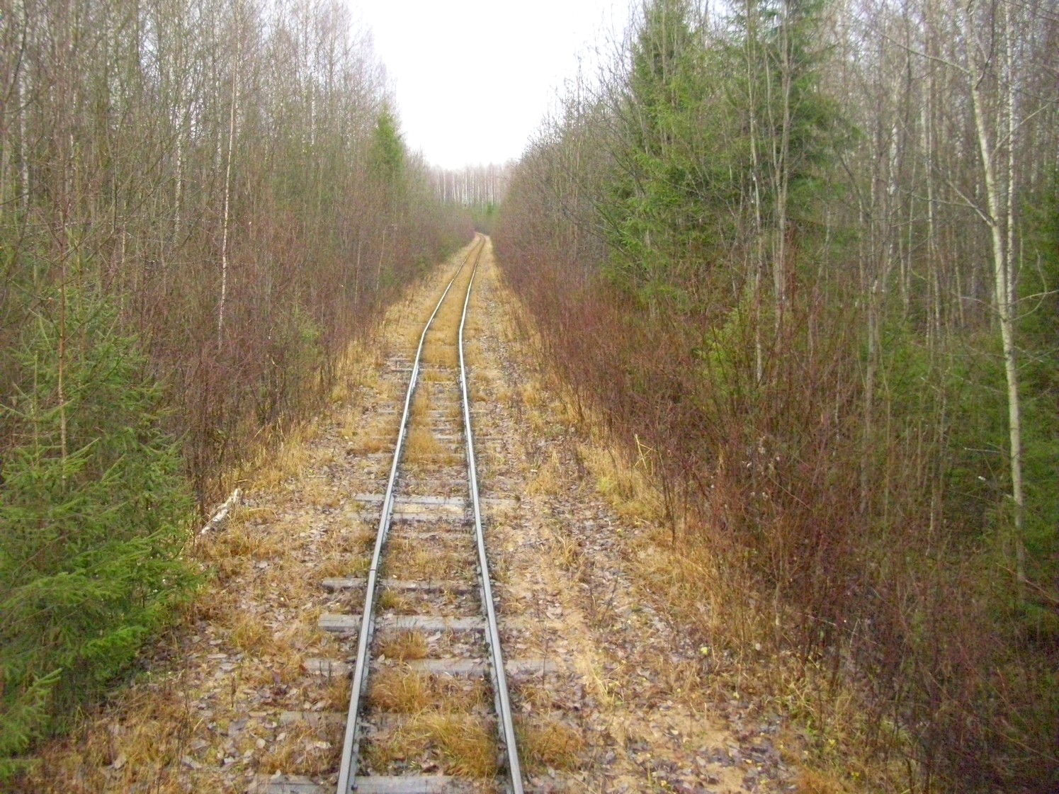 Дубровская узкоколейная железная дорога — фотографии, сделанные в 2009 году (часть 13) Дубровская узкоколейная железная дорога — фотографии, сделанные в 2009 году (часть 13)
