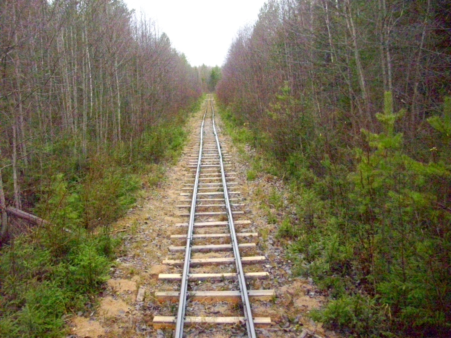 Дубровская узкоколейная железная дорога — фотографии, сделанные в 2009 году (часть 14) Дубровская узкоколейная железная дорога — фотографии, сделанные в 2009 году (часть 14)