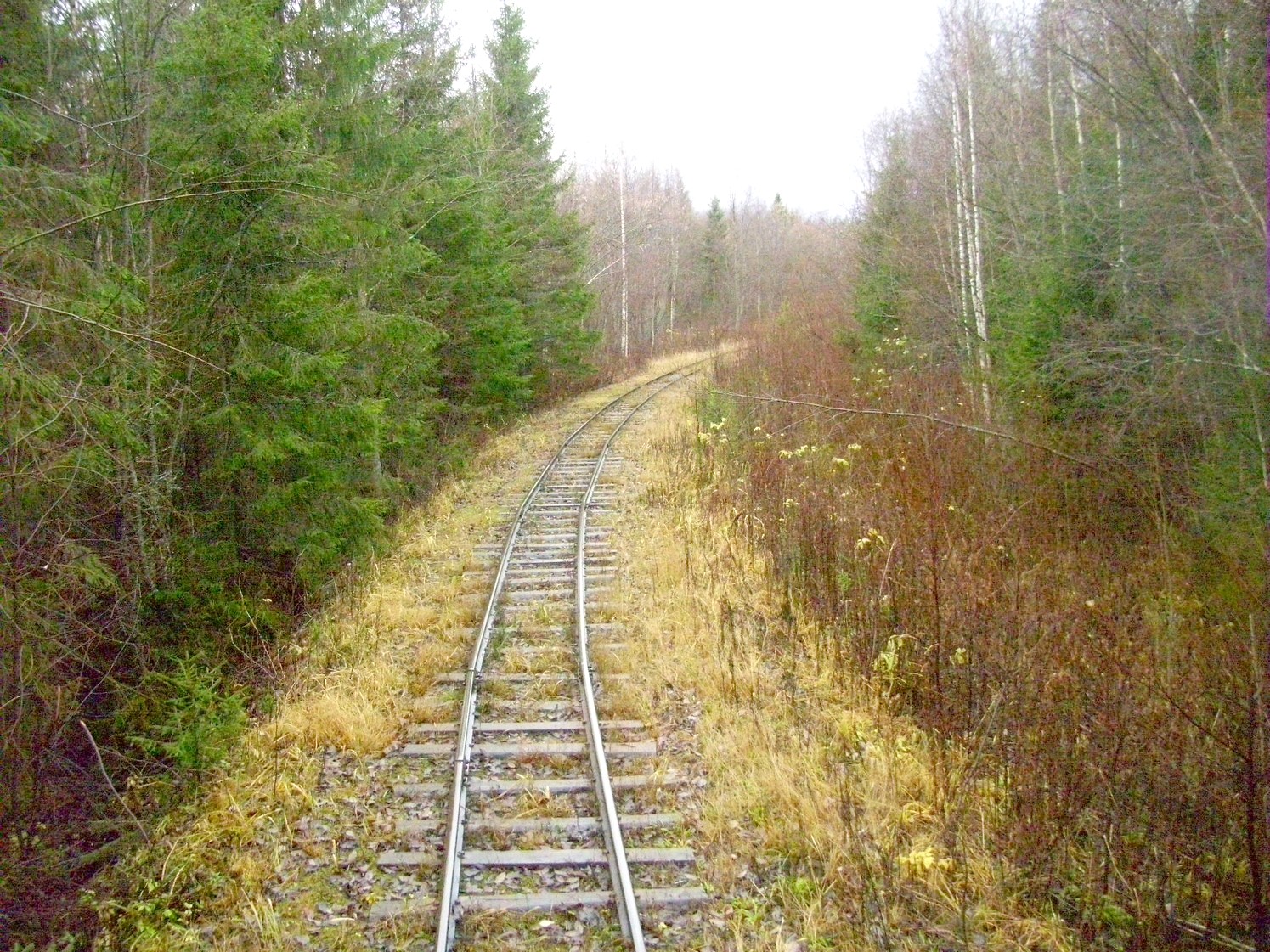 Дубровская узкоколейная железная дорога — фотографии, сделанные в 2009 году (часть 15) Дубровская узкоколейная железная дорога — фотографии, сделанные в 2009 году (часть 15)