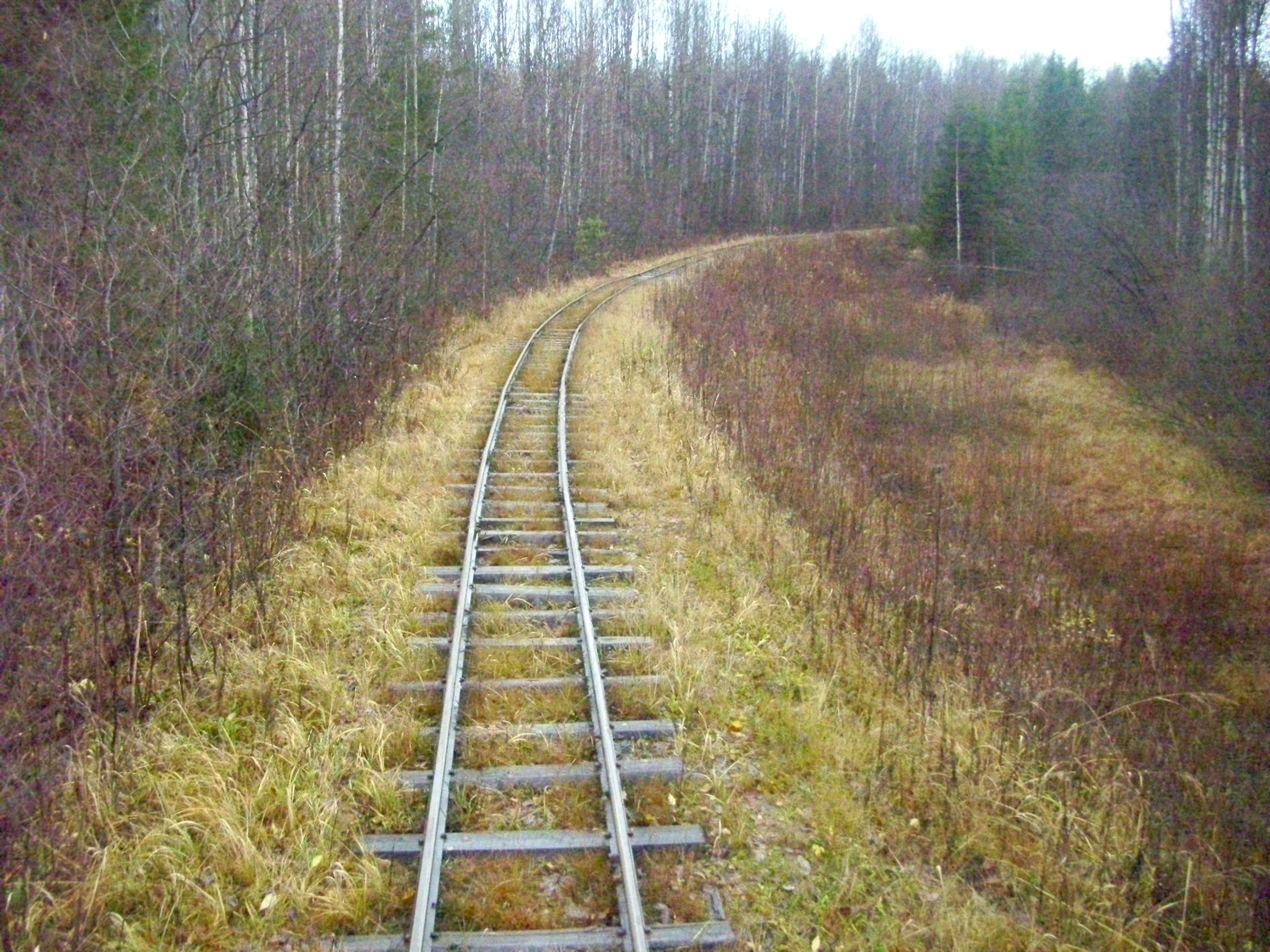 Дубровская узкоколейная железная дорога — фотографии, сделанные в 2009 году (часть 17) Дубровская узкоколейная железная дорога — фотографии, сделанные в 2009 году (часть 17)