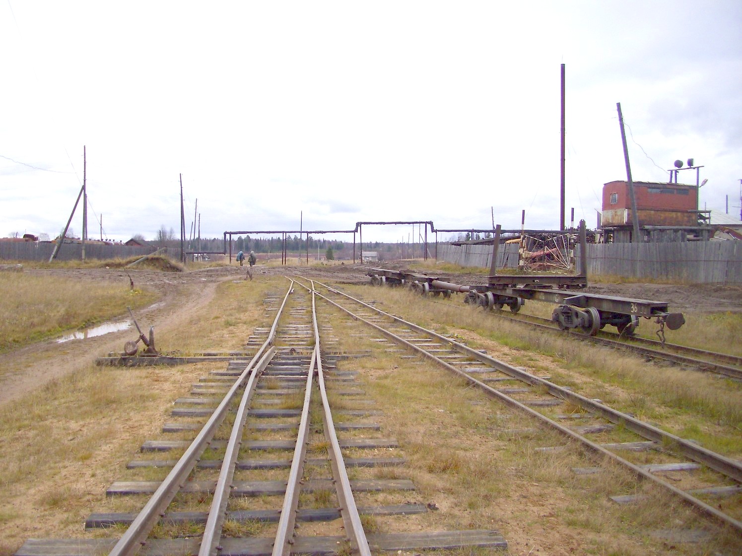 Дубровская узкоколейная железная дорога — фотографии, сделанные в 2009 году (часть 20) Дубровская узкоколейная железная дорога — фотографии, сделанные в 2009 году (часть 20)