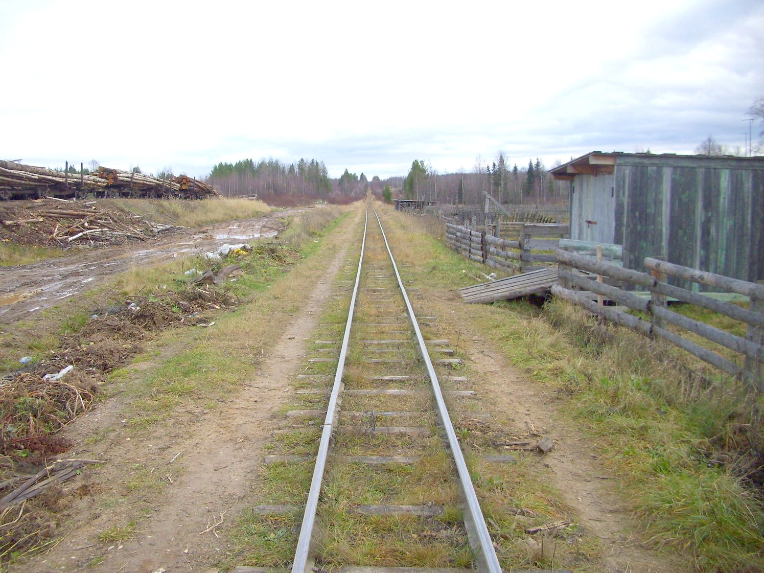 Дубровская узкоколейная железная дорога — фотографии, сделанные в 2009 году (часть 22) Дубровская узкоколейная железная дорога — фотографии, сделанные в 2009 году (часть 22)