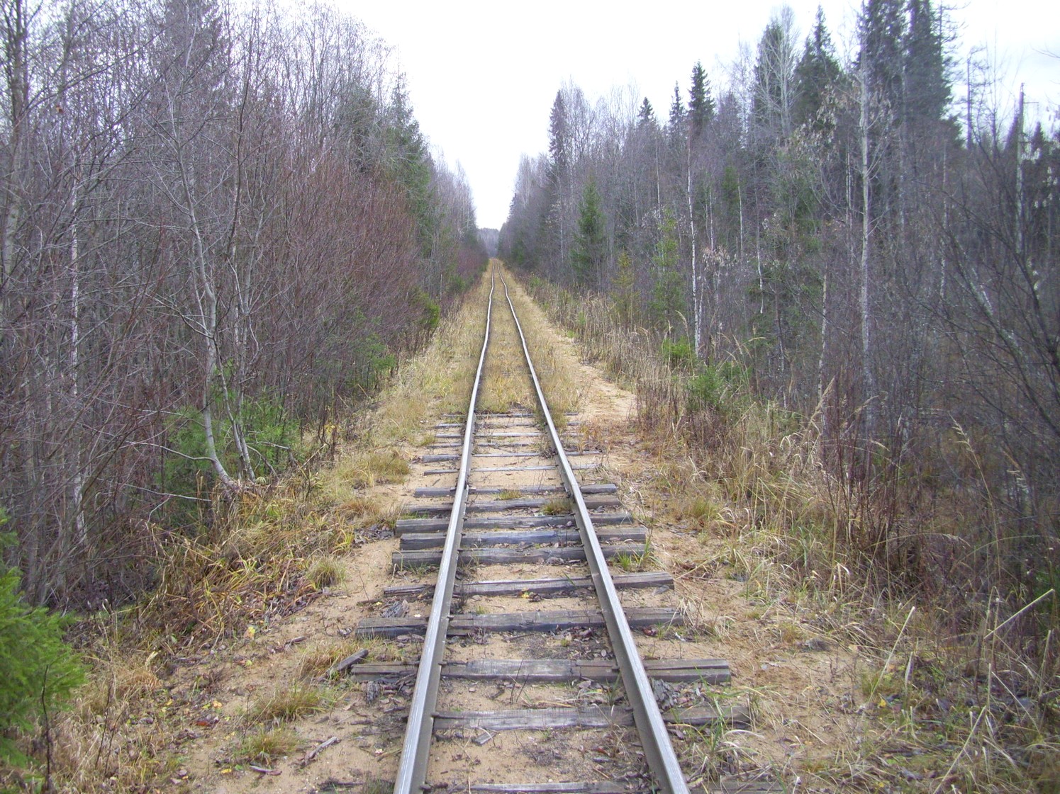 Дубровская узкоколейная железная дорога — фотографии, сделанные в 2009 году (часть 23) Дубровская узкоколейная железная дорога — фотографии, сделанные в 2009 году (часть 23)