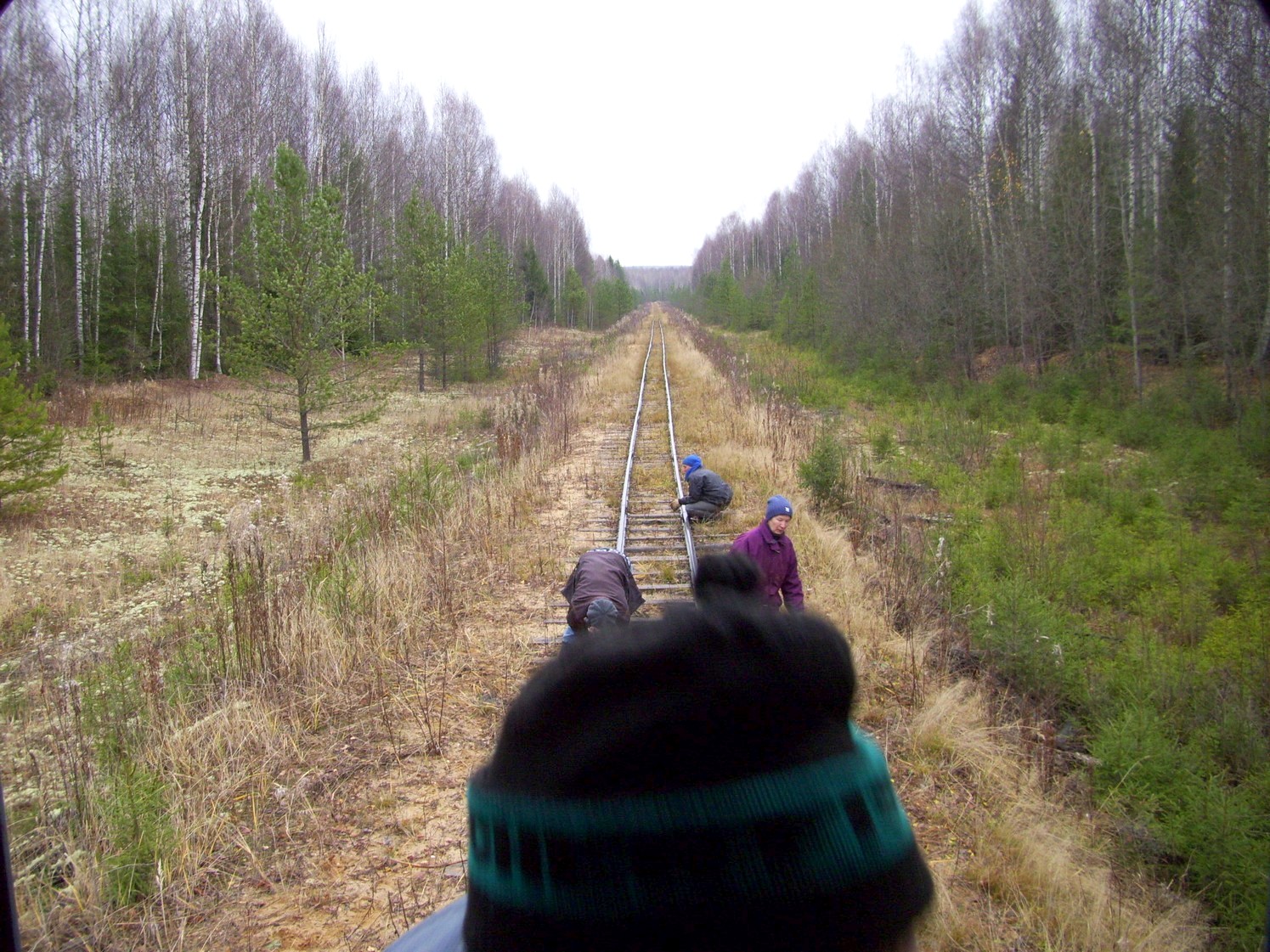 Дубровская узкоколейная железная дорога — фотографии, сделанные в 2009 году (часть 4) Дубровская узкоколейная железная дорога — фотографии, сделанные в 2009 году (часть 4)