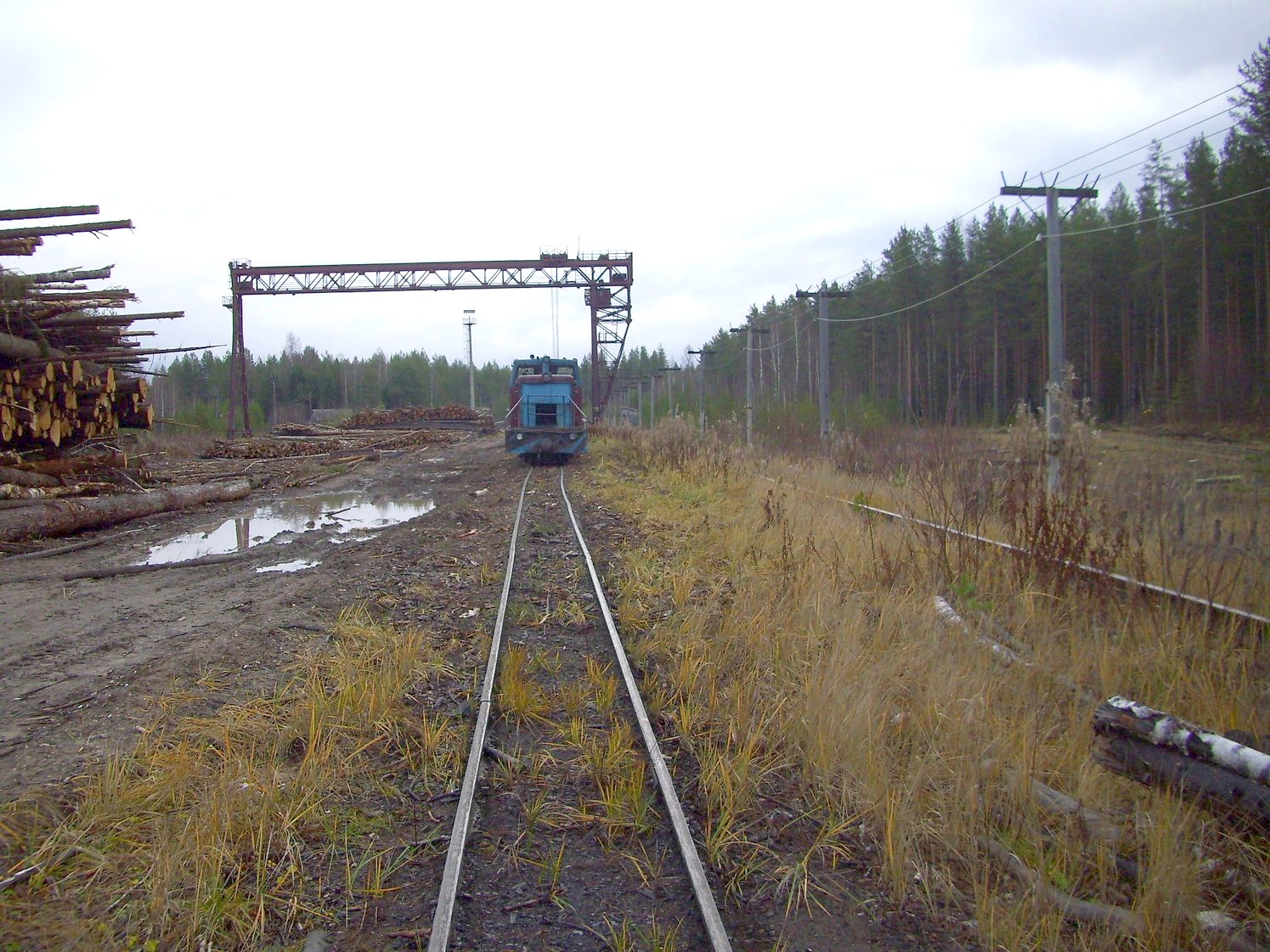 Дубровская узкоколейная железная дорога — фотографии, сделанные в 2009 году (часть 5) Дубровская узкоколейная железная дорога — фотографии, сделанные в 2009 году (часть 5)