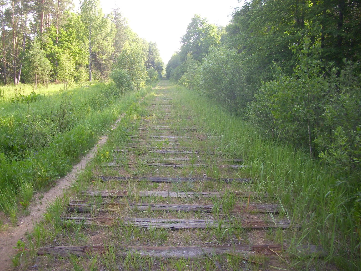 Железнодорожная линия Полпинская — Дудорево — фотографии, сделанные в 2011 году (часть 7) Железнодорожная линия Полпинская — Дудорево — фотографии, сделанные в 2011 году (часть 7)
