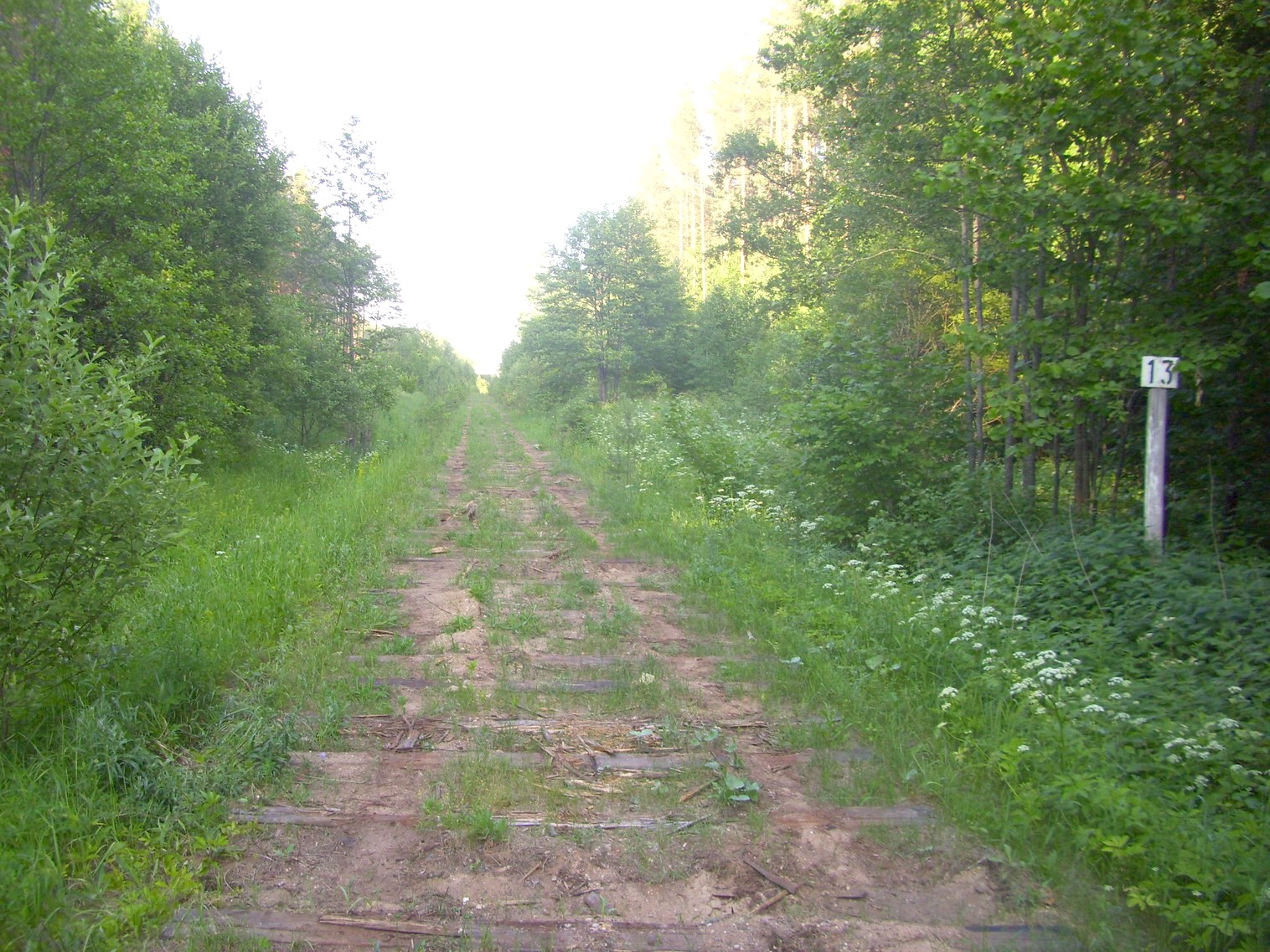 Железнодорожная линия Полпинская — Дудорево — фотографии, сделанные в 2011 году (часть 8) Железнодорожная линия Полпинская — Дудорево — фотографии, сделанные в 2011 году (часть 8)