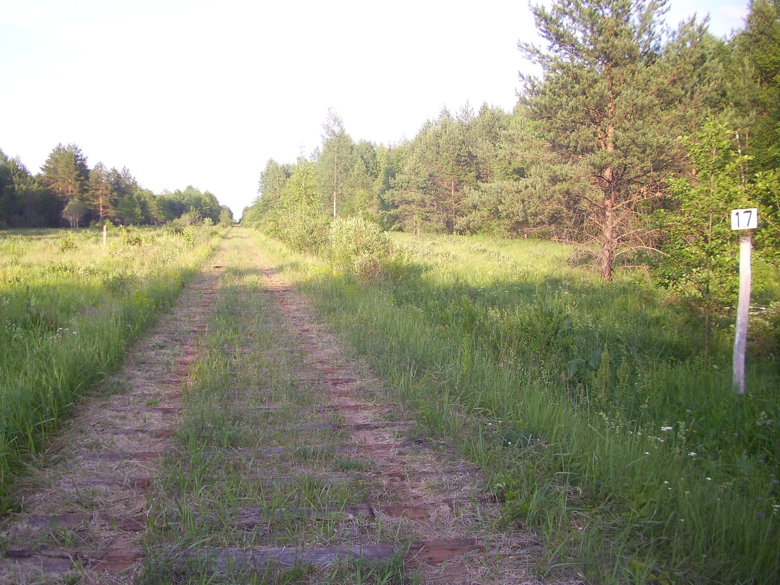 Железнодорожная линия Полпинская — Дудорево — фотографии, сделанные в 2011 году (часть 9) Железнодорожная линия Полпинская — Дудорево — фотографии, сделанные в 2011 году (часть 9)