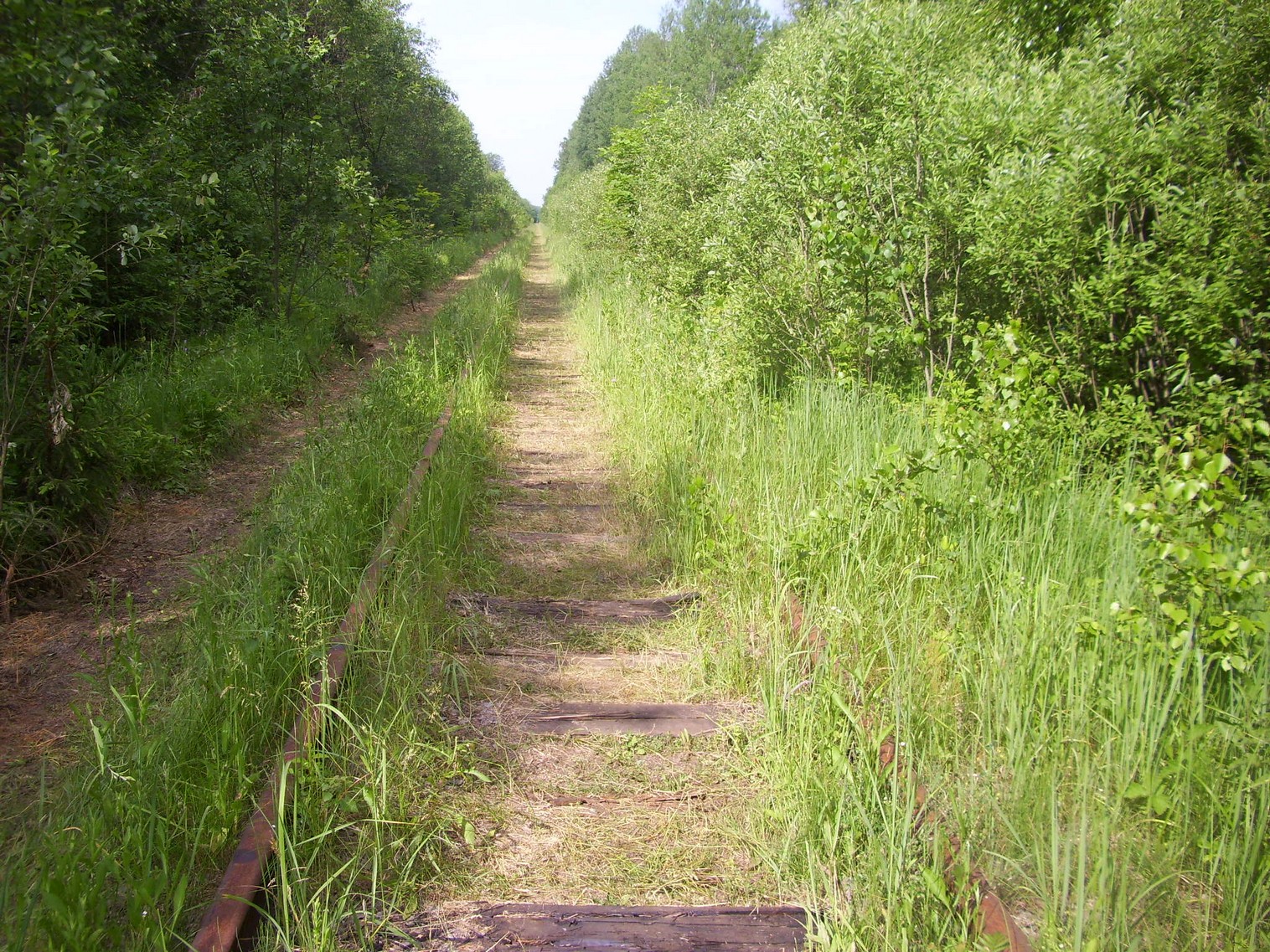 Железнодорожная линия Полпинская — Дудорево — фотографии, сделанные в 2011 году (часть 14) Железнодорожная линия Полпинская — Дудорево — фотографии, сделанные в 2011 году (часть 14)