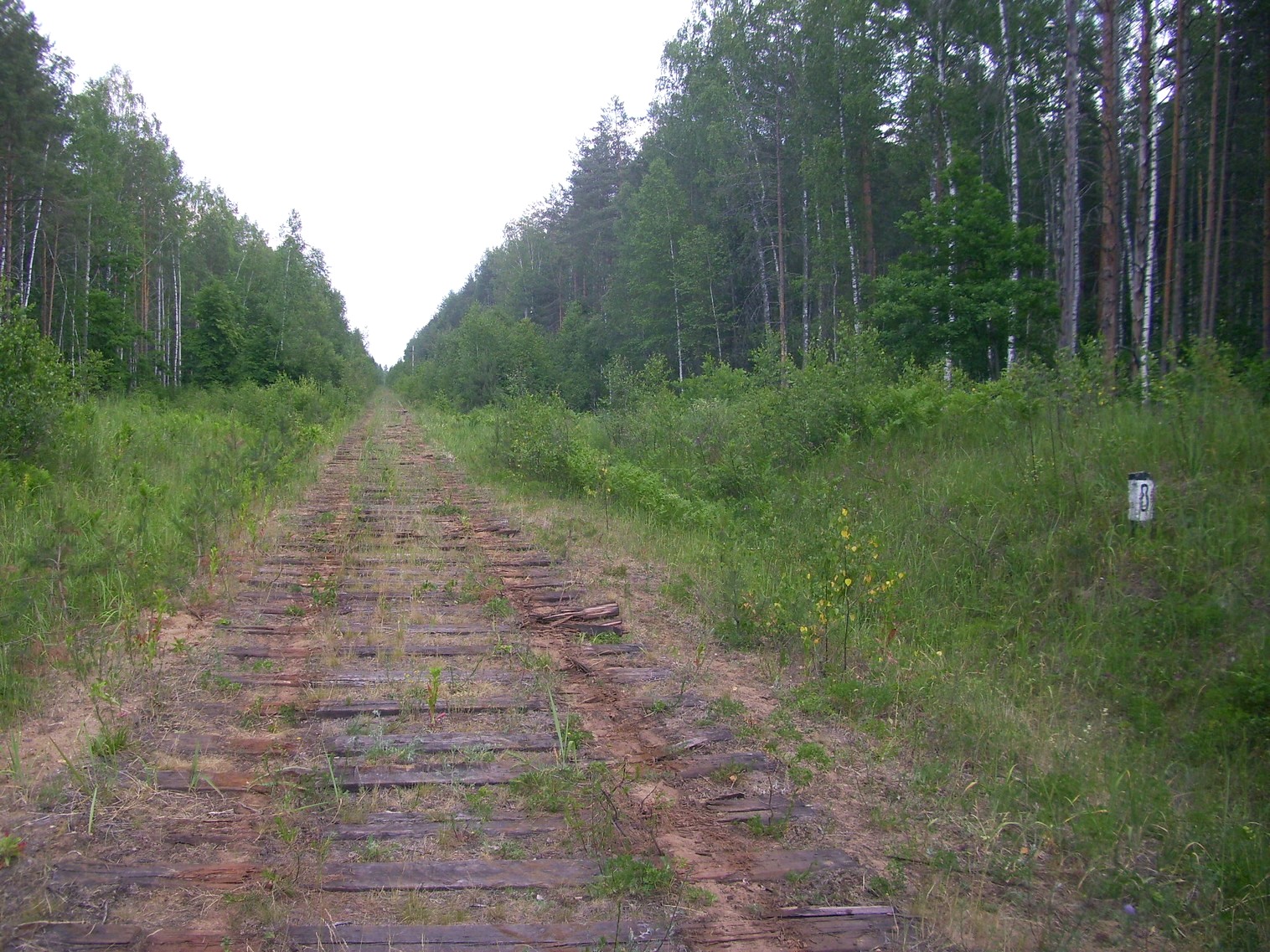 Железнодорожная линия Полпинская — Дудорево — фотографии, сделанные в 2011 году (часть 17) Железнодорожная линия Полпинская — Дудорево — фотографии, сделанные в 2011 году (часть 17)