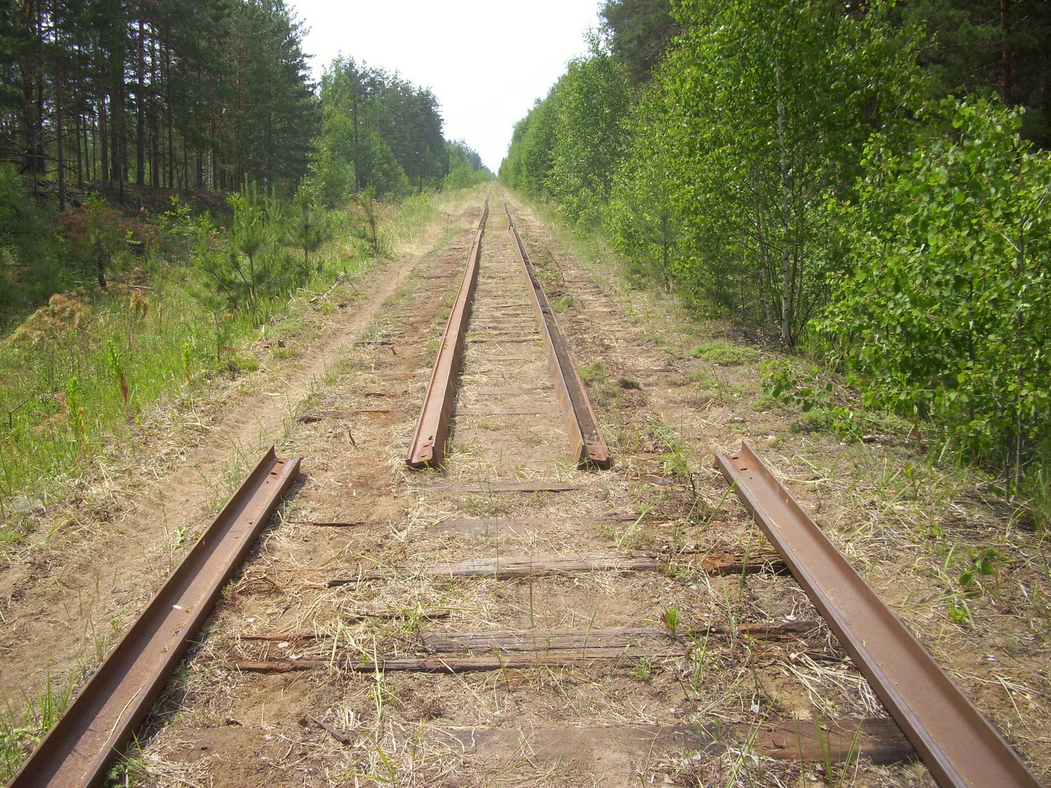 Железнодорожная линия Полпинская — Дудорево — фотографии, сделанные в 2011 году (часть 18) Железнодорожная линия Полпинская — Дудорево — фотографии, сделанные в 2011 году (часть 18)