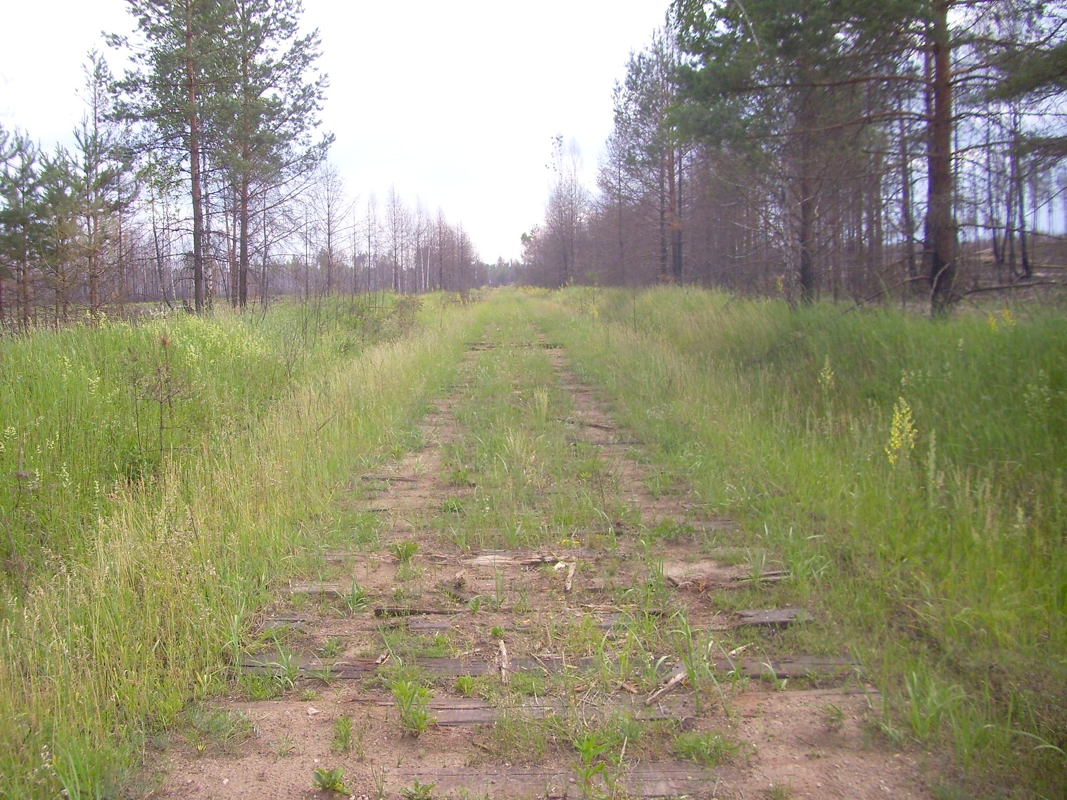 Железнодорожная линия Полпинская — Дудорево — фотографии, сделанные в 2011 году (часть 20) Железнодорожная линия Полпинская — Дудорево — фотографии, сделанные в 2011 году (часть 20)
