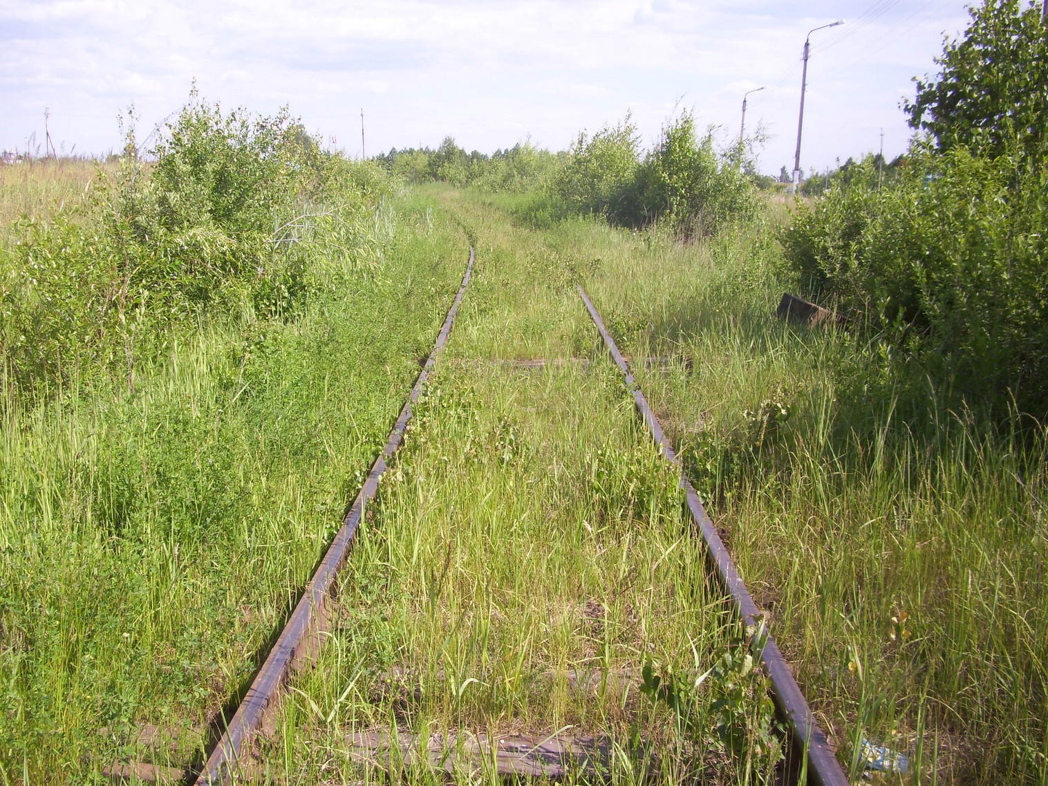 Железнодорожная линия Полпинская — Дудорево — фотографии, сделанные в 2011 году (часть 3) Железнодорожная линия Полпинская — Дудорево — фотографии, сделанные в 2011 году (часть 3)