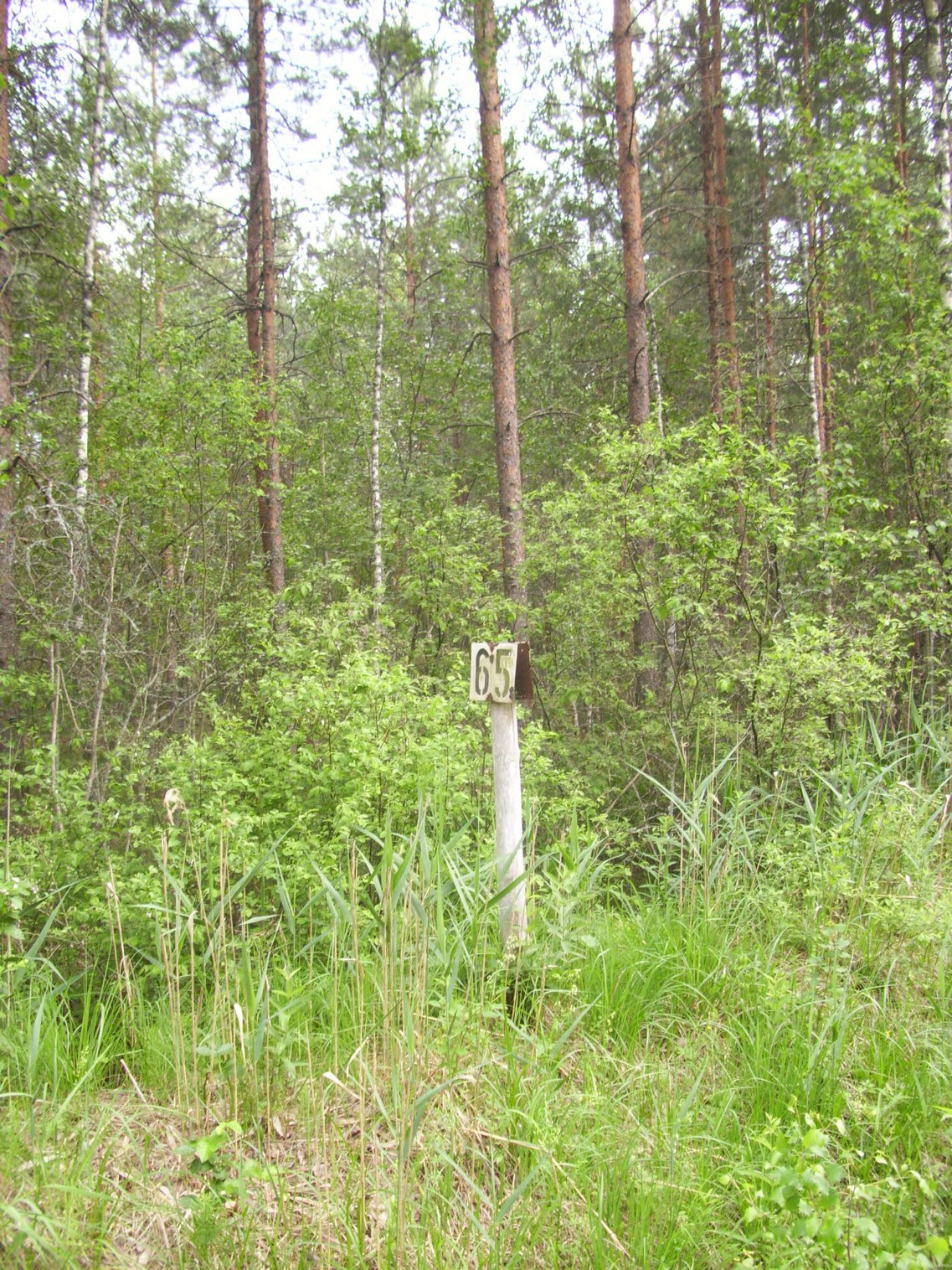 Железнодорожная линия Полпинская — Дудорево — фотографии, сделанные в 2011 году (часть 23) Железнодорожная линия Полпинская — Дудорево — фотографии, сделанные в 2011 году (часть 23)