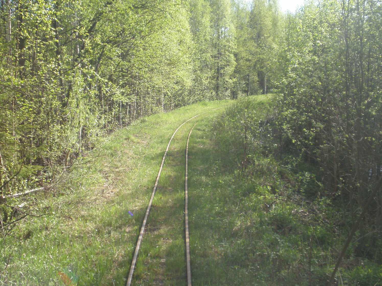 Узкоколейная железная дорога Каринского транспортного управления — фотографии, сделанные в 2008 году (часть 17) Узкоколейная железная дорога Каринского транспортного управления — фотографии, сделанные в 2008 году (часть 17)