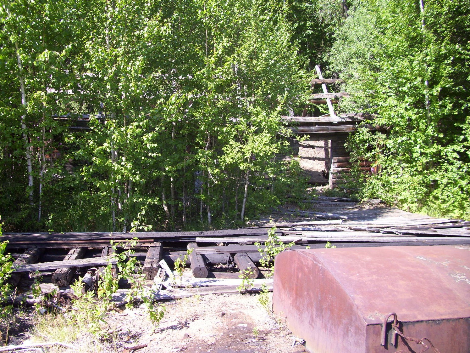 Пуксинская узкоколейная железная дорога — фотографии, сделанные в 2010 году (часть 6) Пуксинская узкоколейная железная дорога — фотографии, сделанные в 2010 году (часть 6)