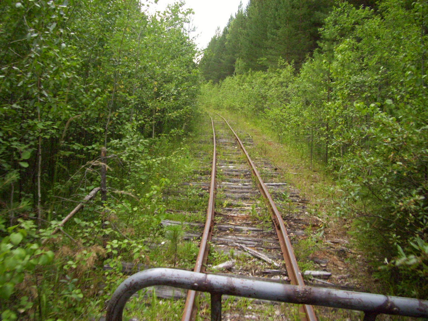 Пуксинская узкоколейная железная дорога — фотографии, сделанные в 2010 году (часть 11) Пуксинская узкоколейная железная дорога — фотографии, сделанные в 2010 году (часть 11)