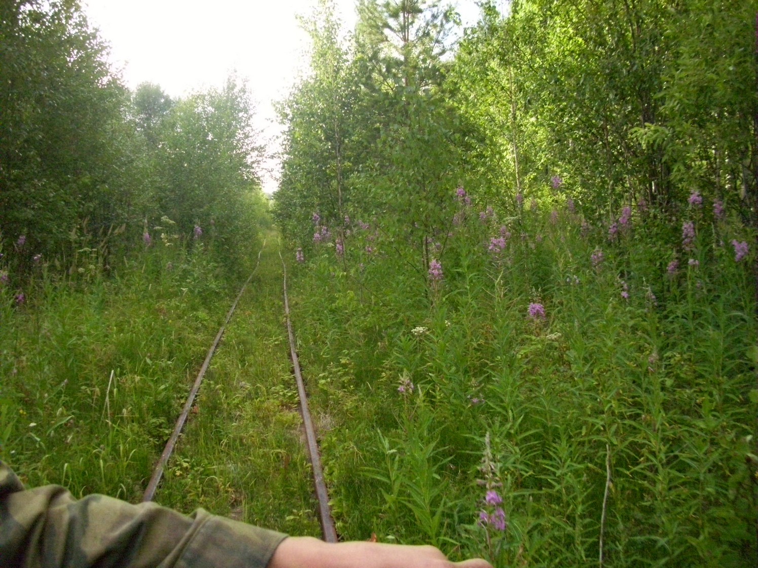 Пуксинская узкоколейная железная дорога — фотографии, сделанные в 2010 году (часть 12) Пуксинская узкоколейная железная дорога — фотографии, сделанные в 2010 году (часть 12)