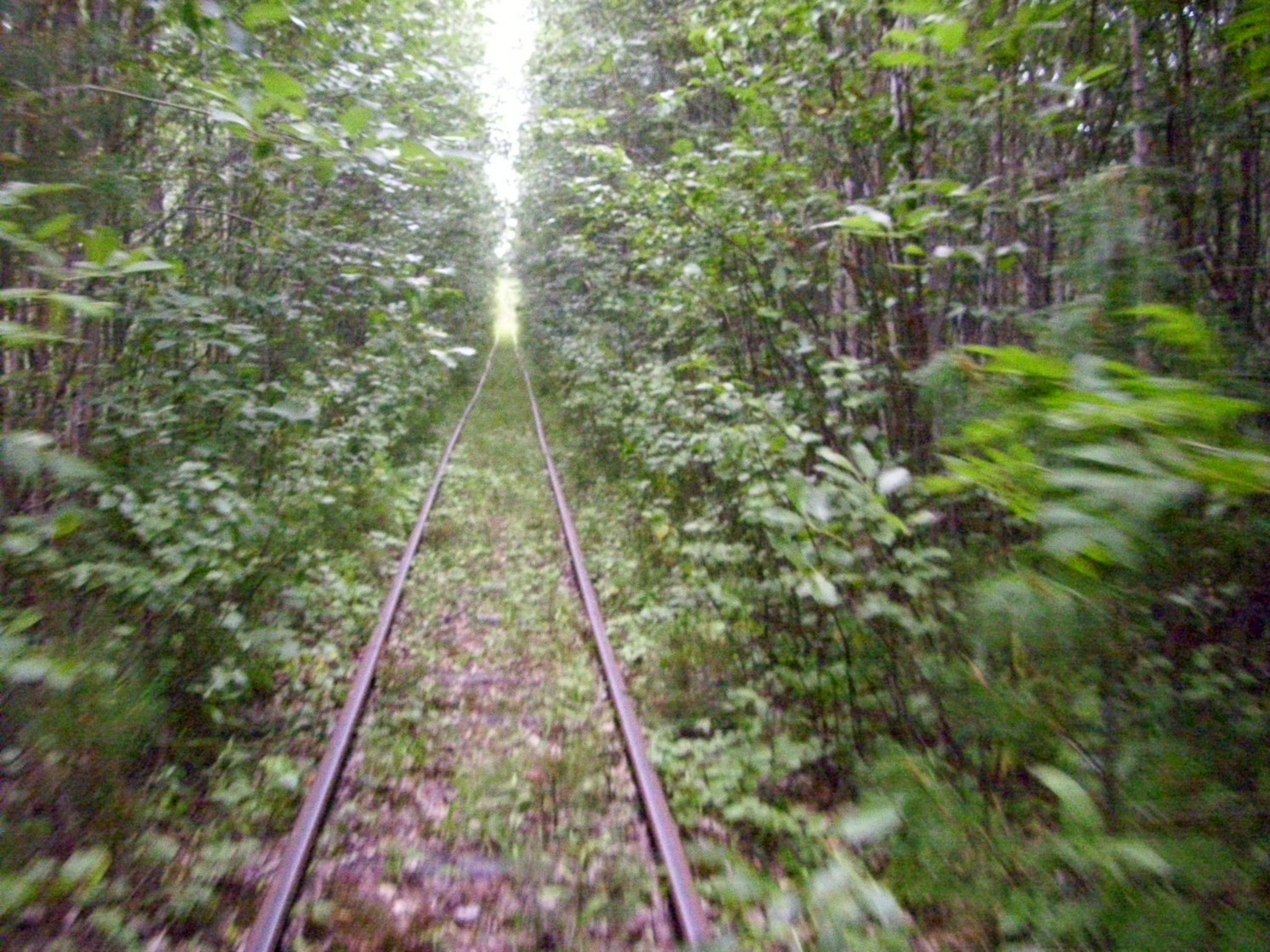 Пуксинская узкоколейная железная дорога — фотографии, сделанные в 2010 году (часть 13) Пуксинская узкоколейная железная дорога — фотографии, сделанные в 2010 году (часть 13)