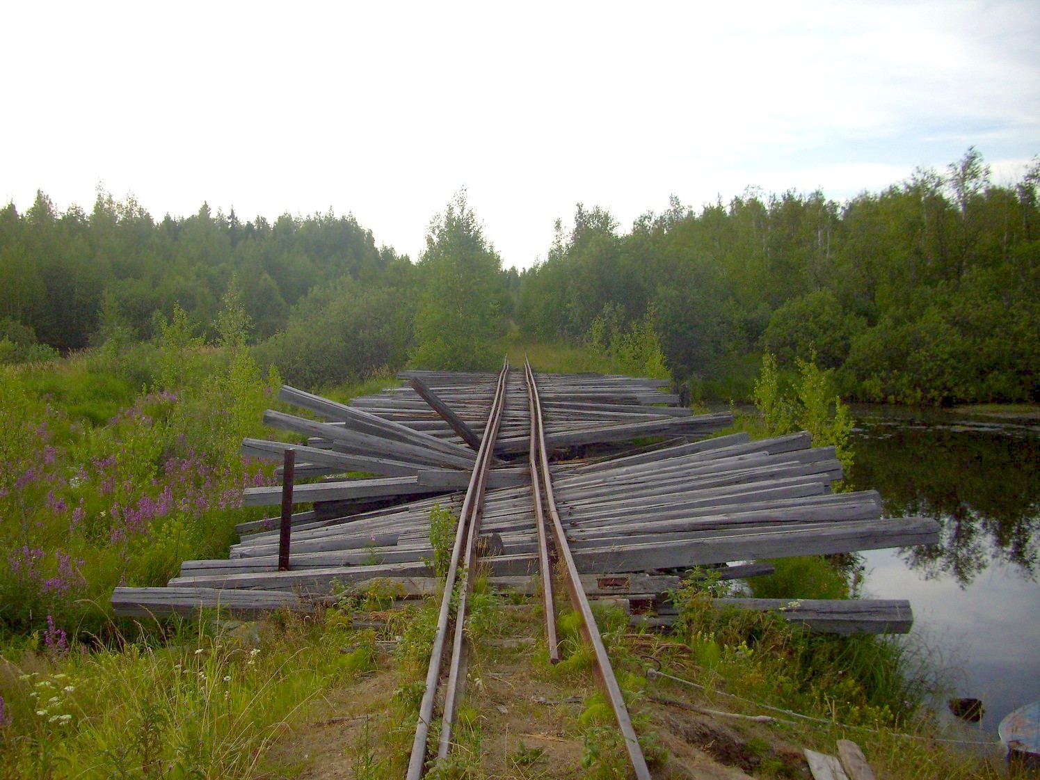 Пуксинская узкоколейная железная дорога — фотографии, сделанные в 2010 году (часть 14) Пуксинская узкоколейная железная дорога — фотографии, сделанные в 2010 году (часть 14)
