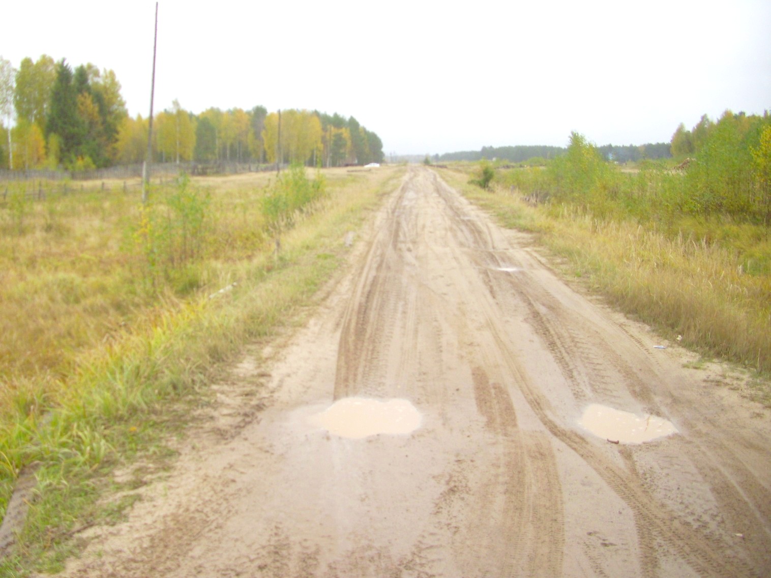 Шестаковская узкоколейная железная дорога — фотографии, сделанные в 2011 году Шестаковская узкоколейная железная дорога — фотографии, сделанные в 2011 году