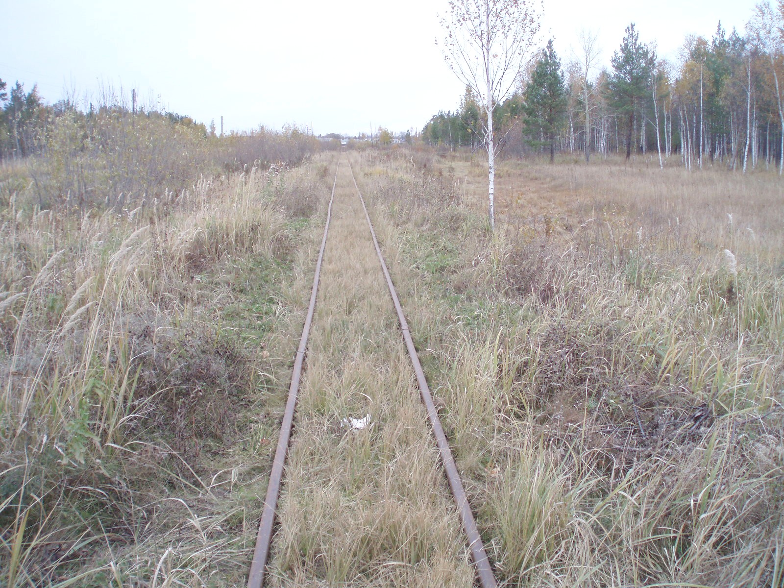 Соловьёвская узкоколейная железная дорога — фотографии, сделанные в 2006 году (часть 1) Соловьёвская узкоколейная железная дорога — фотографии, сделанные в 2006 году (часть 1)