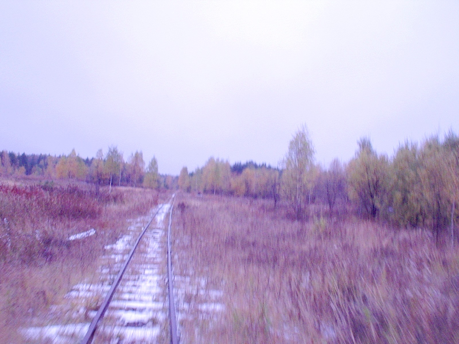 Соловьёвская узкоколейная железная дорога — фотографии, сделанные в 2006 году (часть 6) Соловьёвская узкоколейная железная дорога — фотографии, сделанные в 2006 году (часть 6)