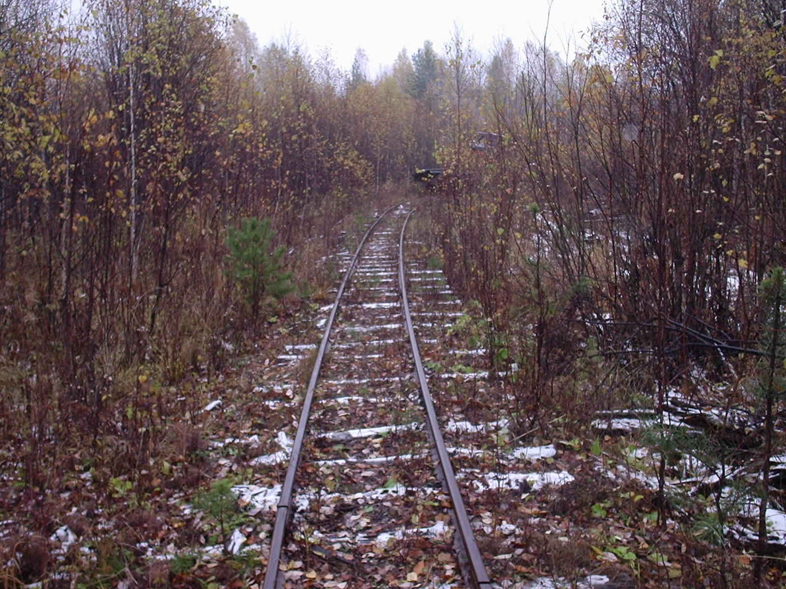 Соловьёвская узкоколейная железная дорога — фотографии, сделанные в 2006 году (часть 10) Соловьёвская узкоколейная железная дорога — фотографии, сделанные в 2006 году (часть 10)