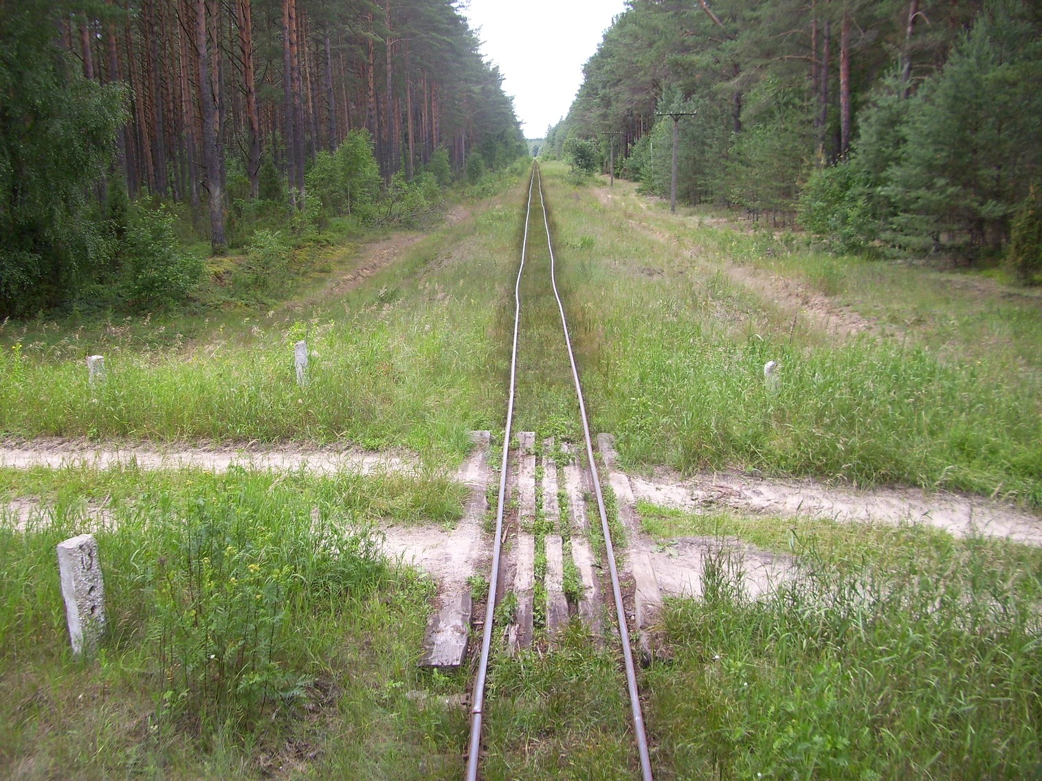 Узкоколейная железная дорога Берёзовского торфопредприятия — фотографии, сделанные в 2011 году (часть 8) Узкоколейная железная дорога Берёзовского торфопредприятия — фотографии, сделанные в 2011 году (часть 8)